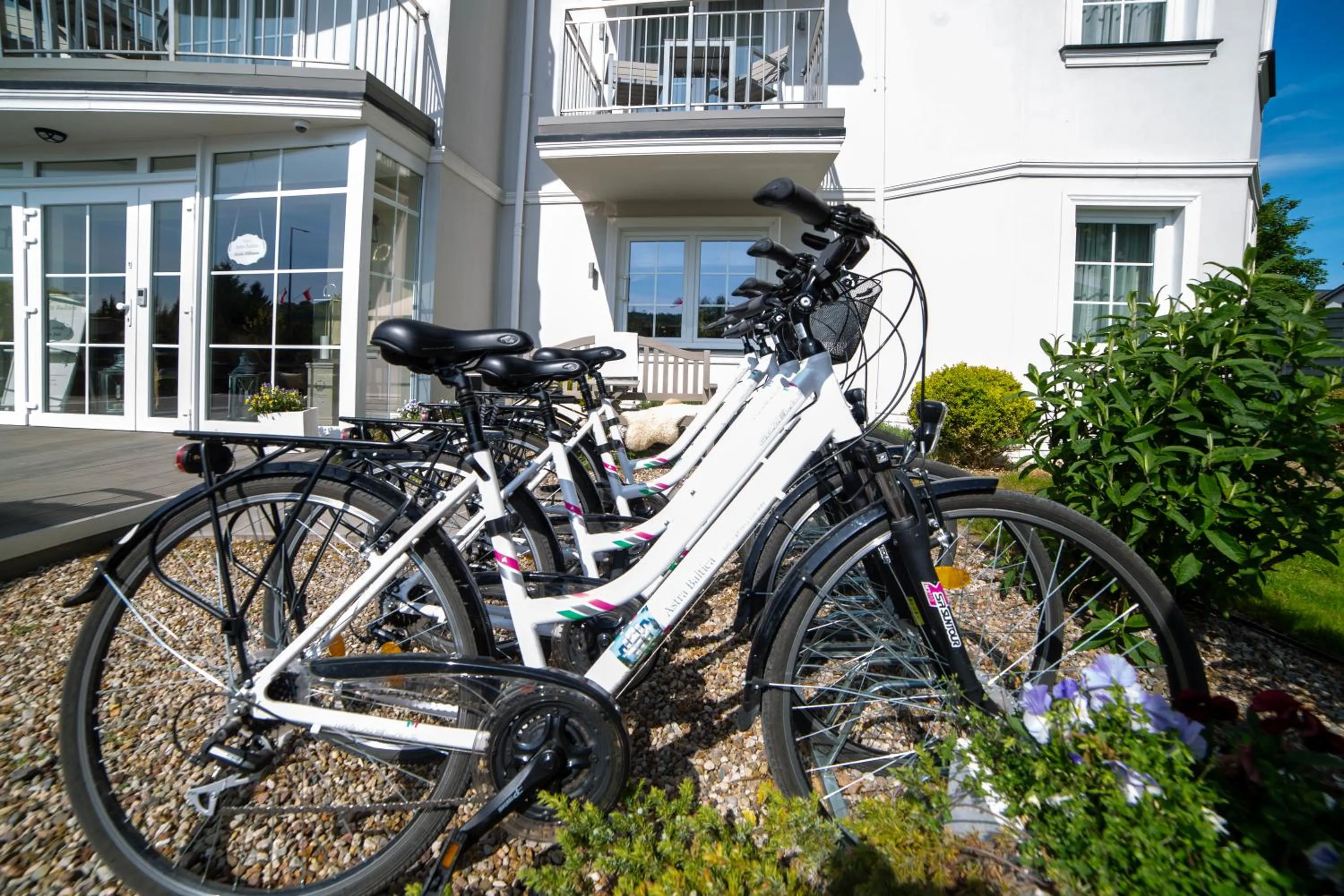 Activities in Villa Astra Baltica