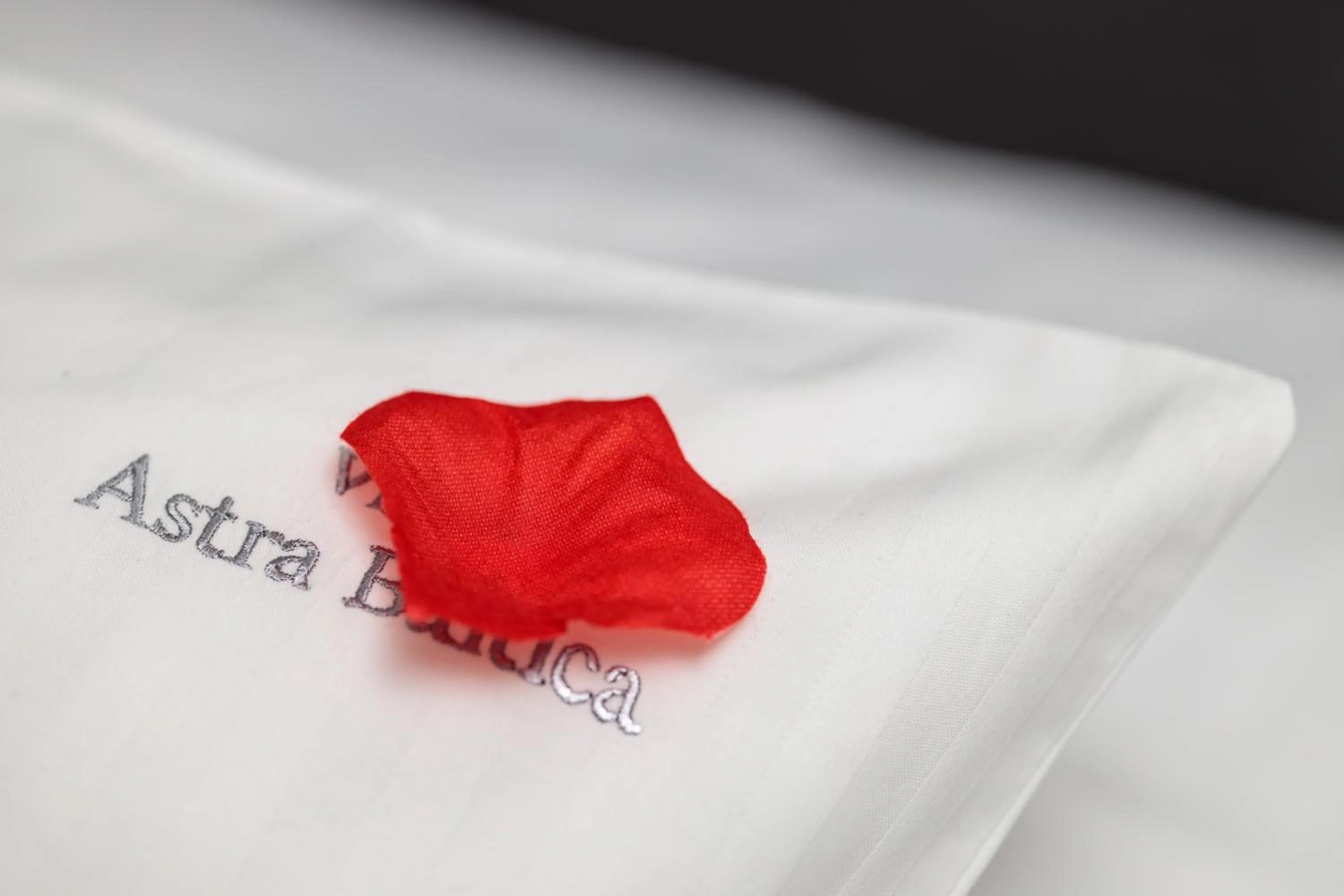 Decorative detail in Villa Astra Baltica