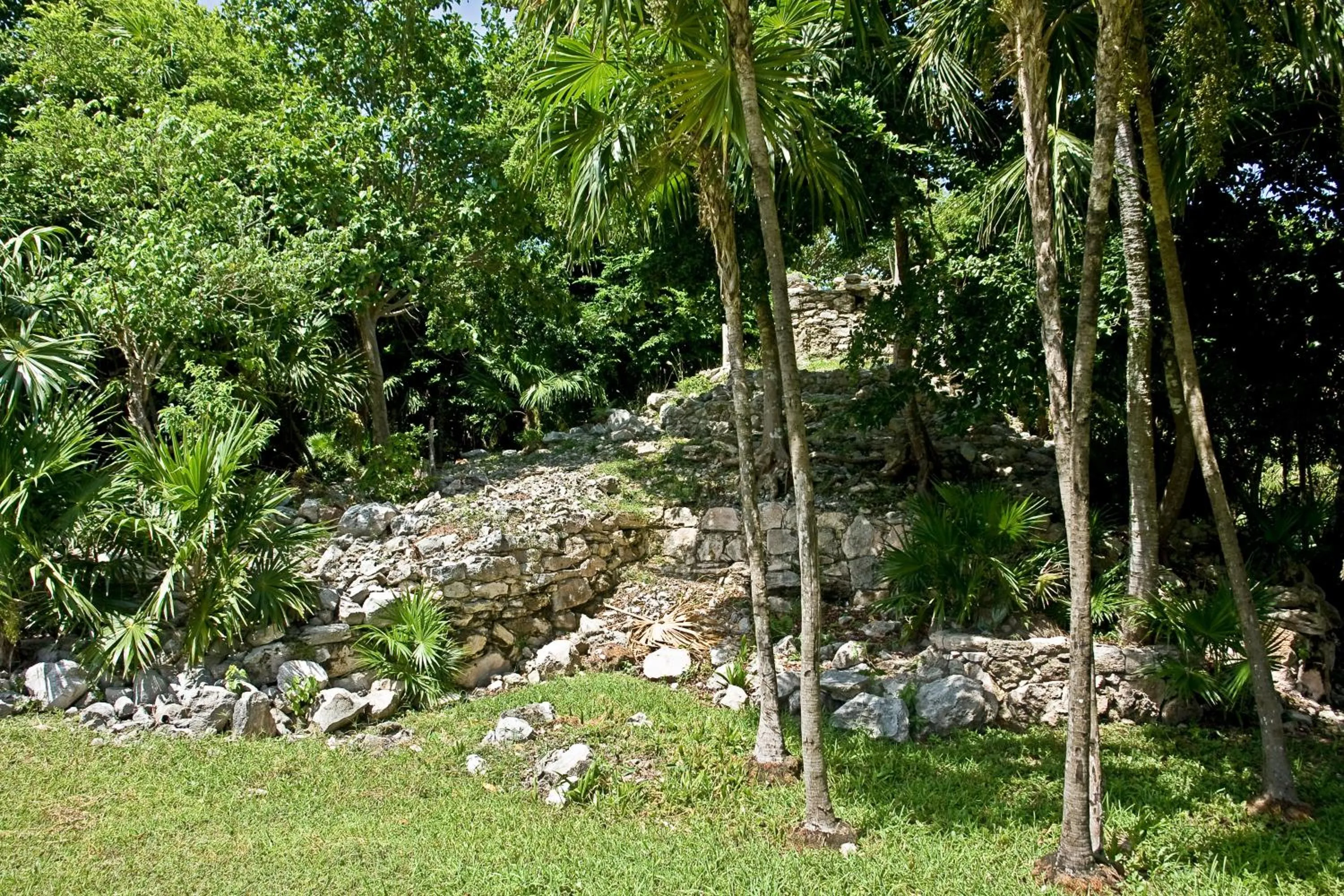 Nearby landmark, Garden in Sunset Fishermen Beach Resort - All Inclusive