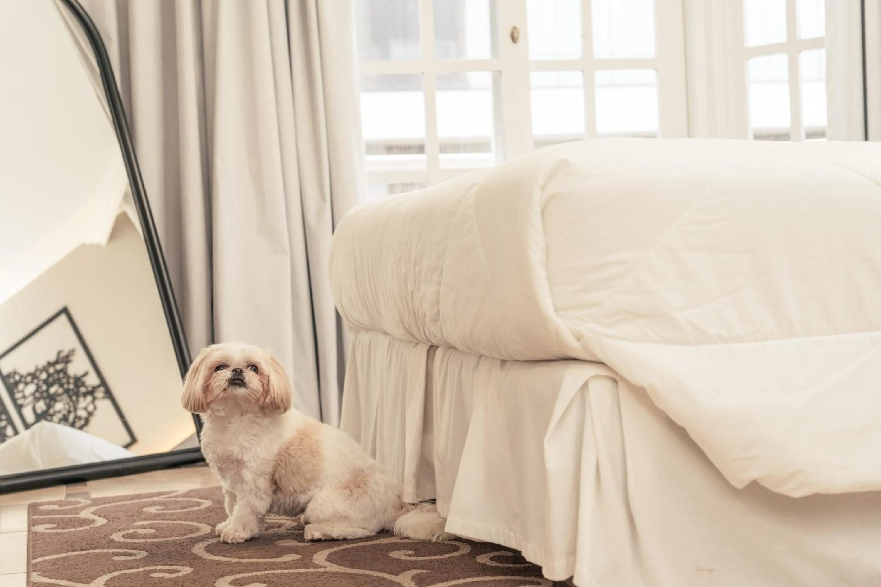 Bed in Hotel Mont Blanc