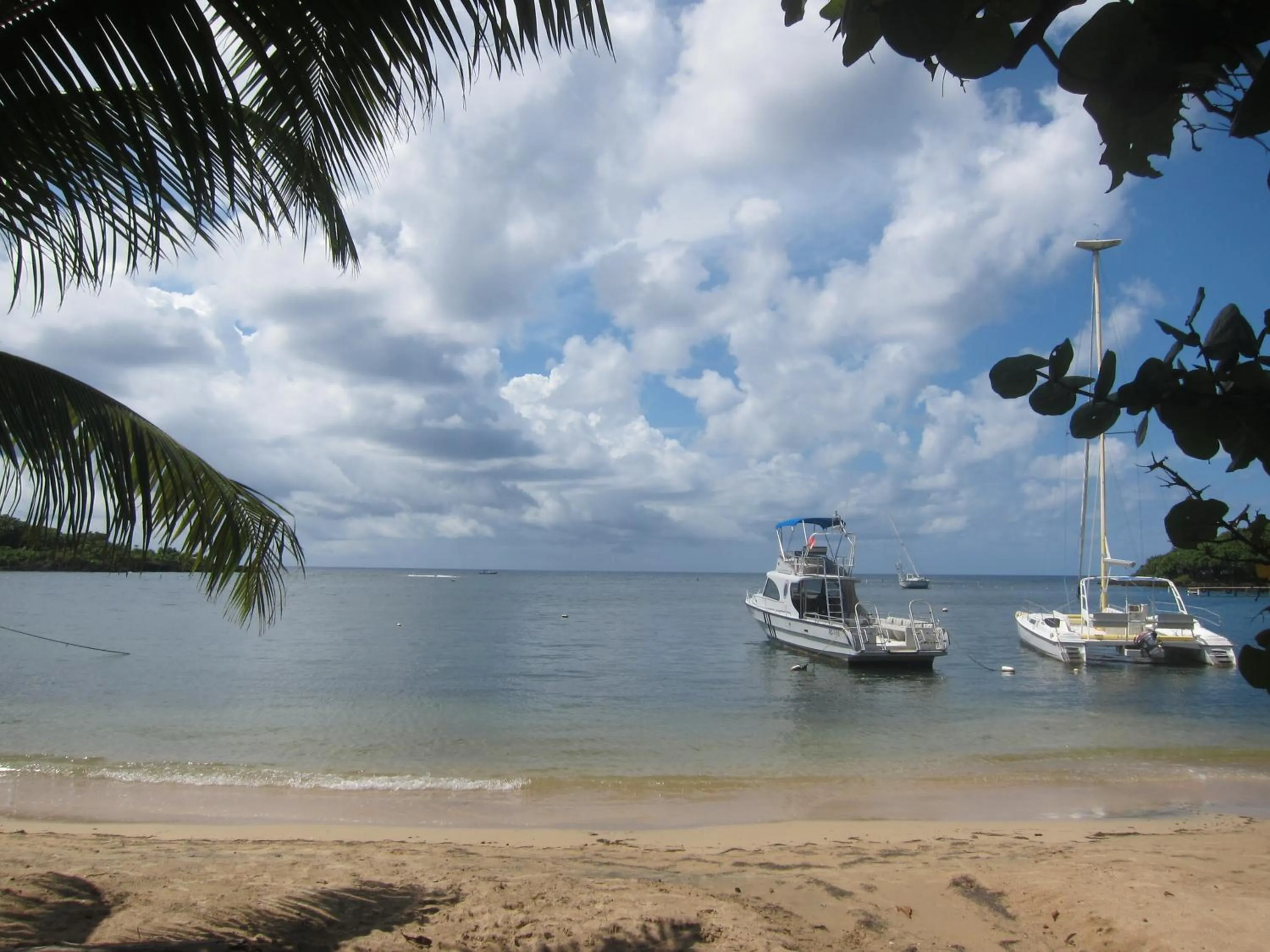 Natural landscape in Hotel Chillies and Native Sons Diving