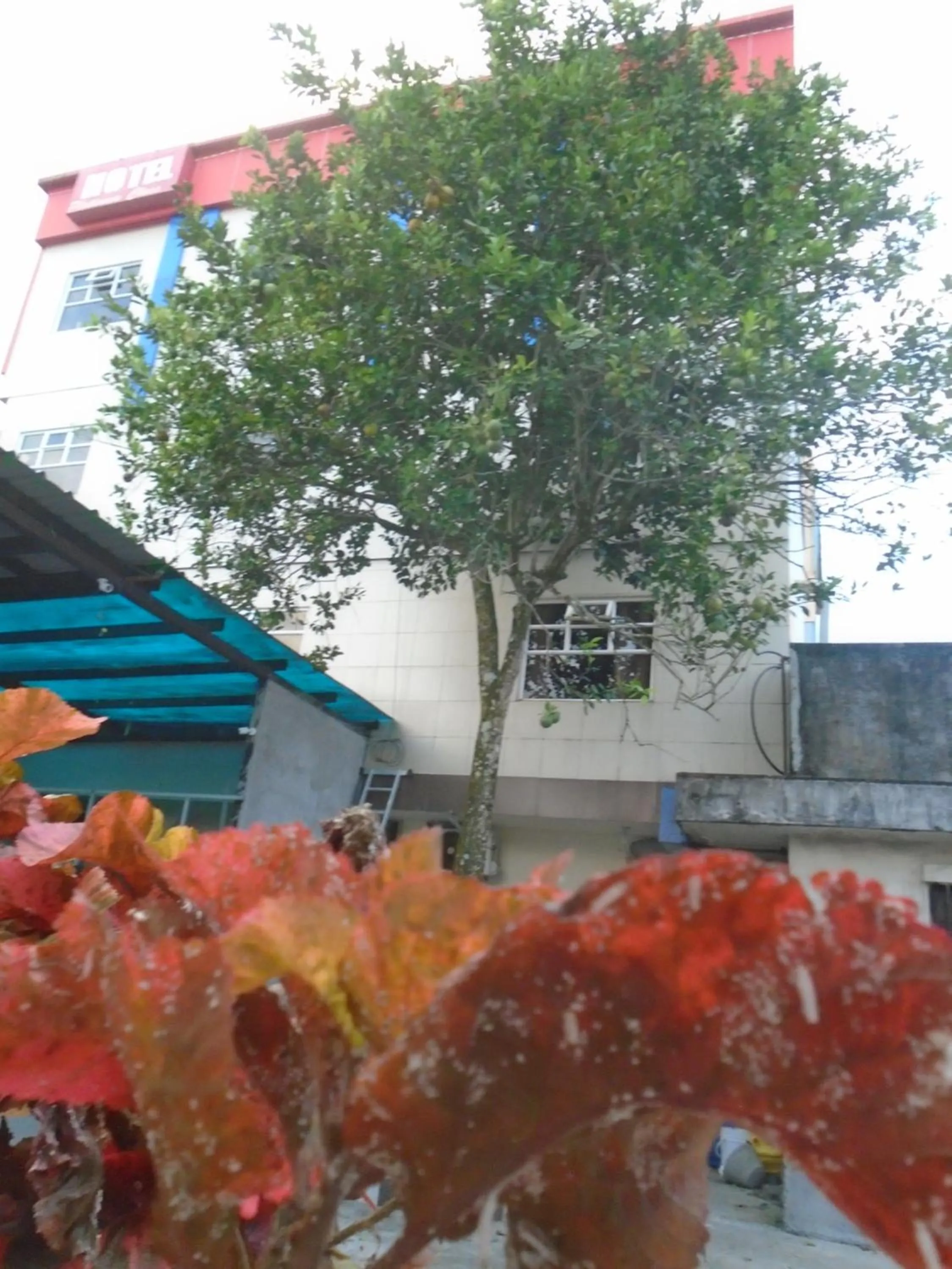 View (from property/room) in Hotel Platinum Class