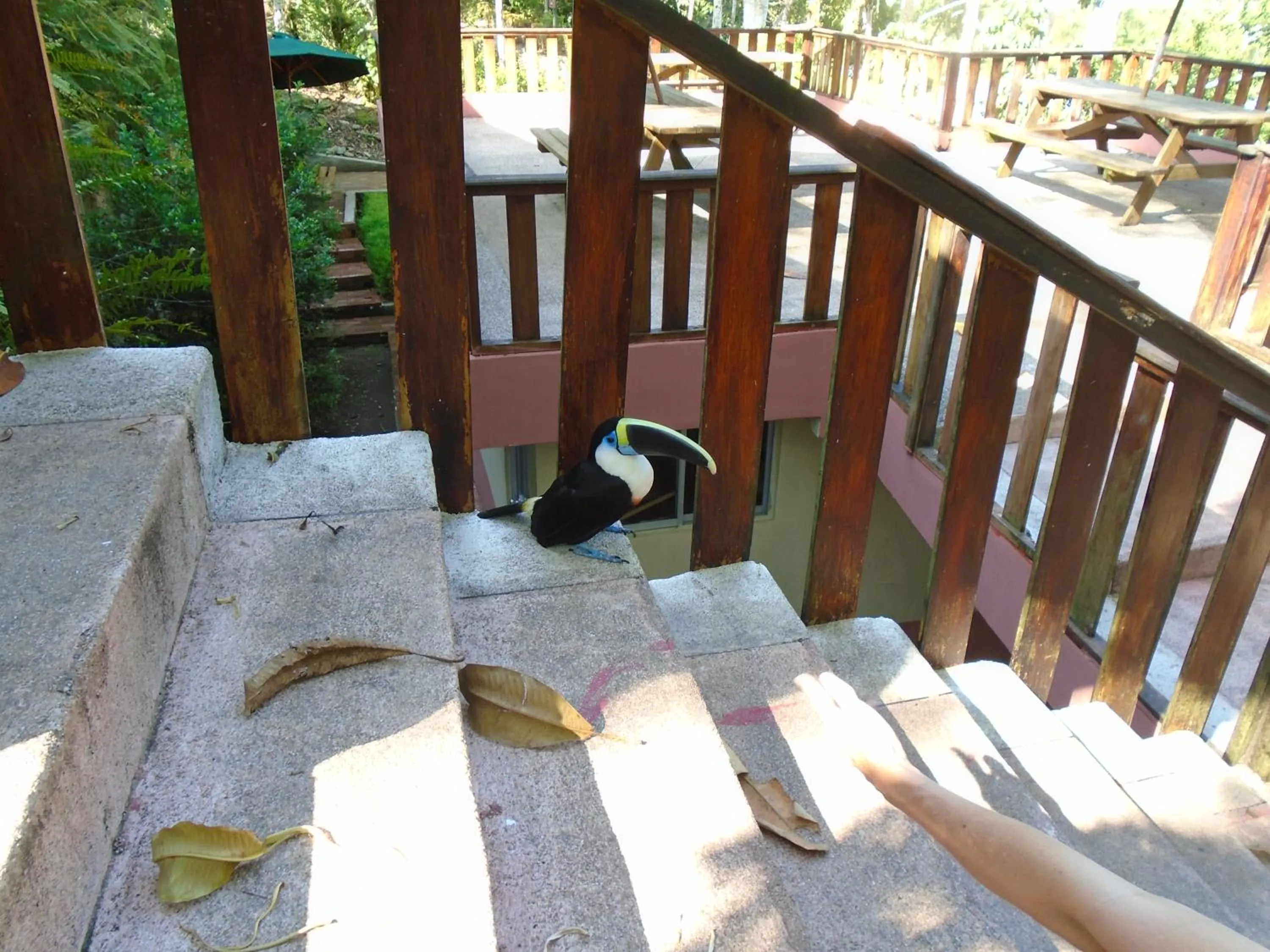 Nearby landmark in Hotel Platinum Class