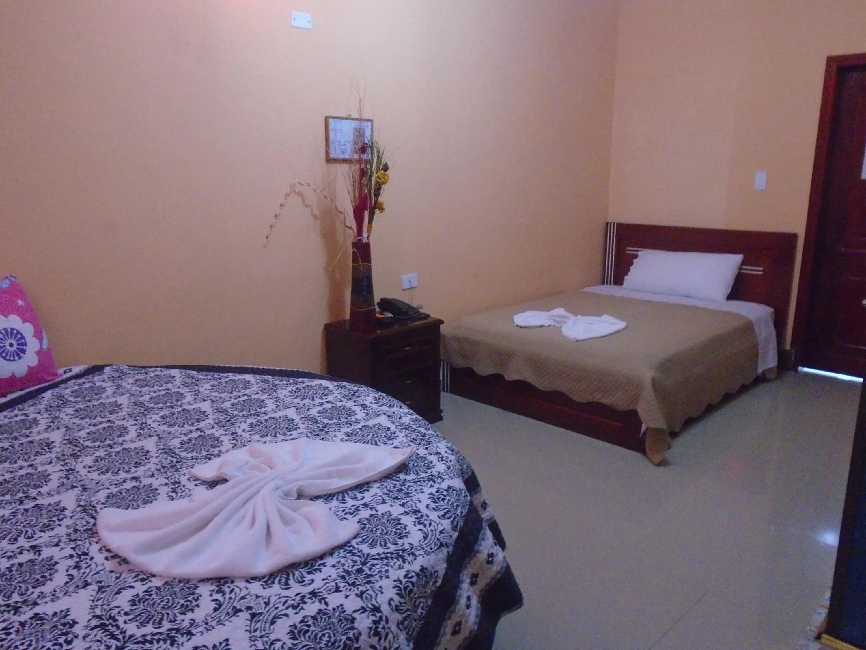 Photo of the whole room, Bed in Hotel Platinum Class