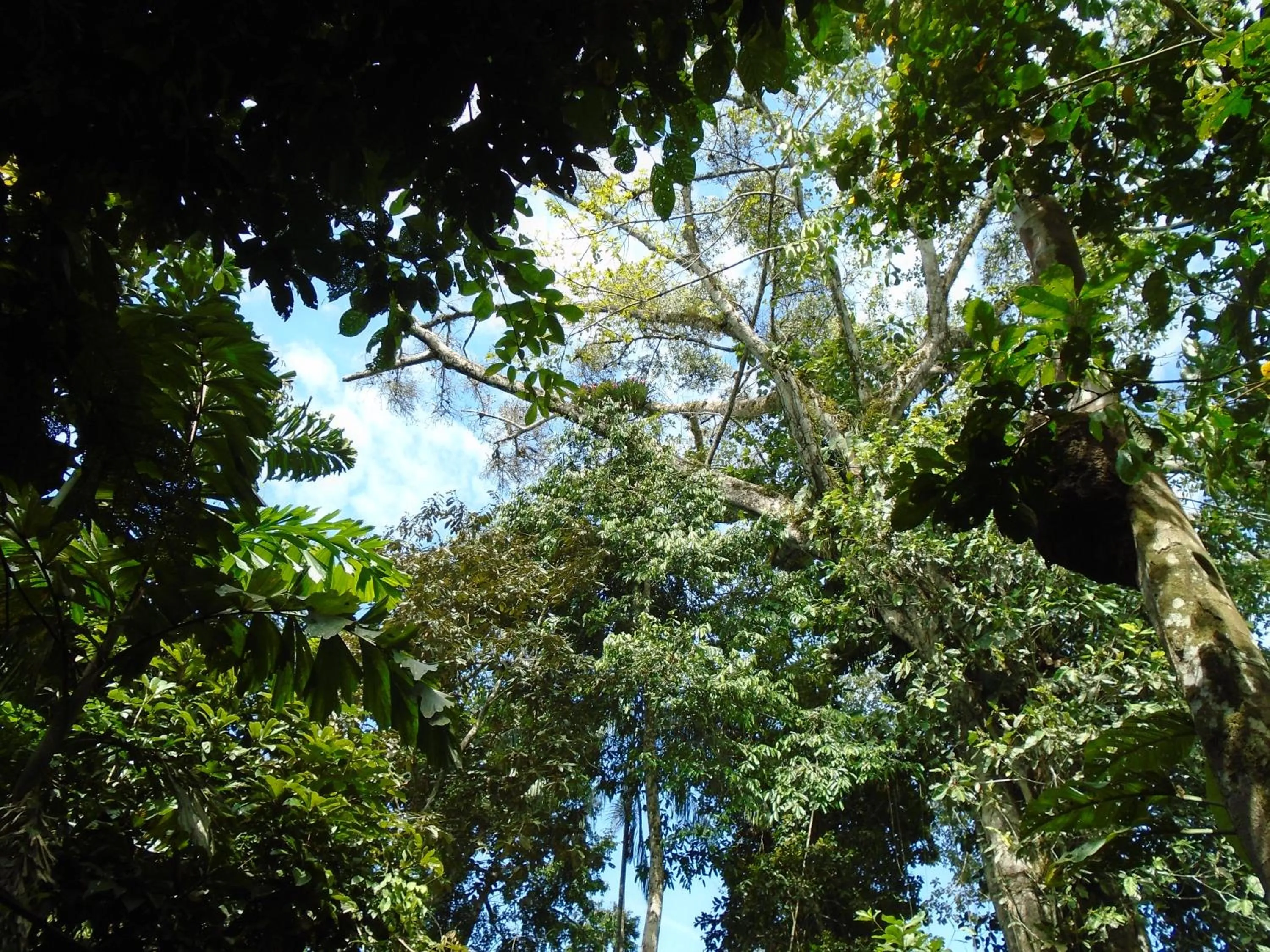 Nearby landmark in Hotel Platinum Class