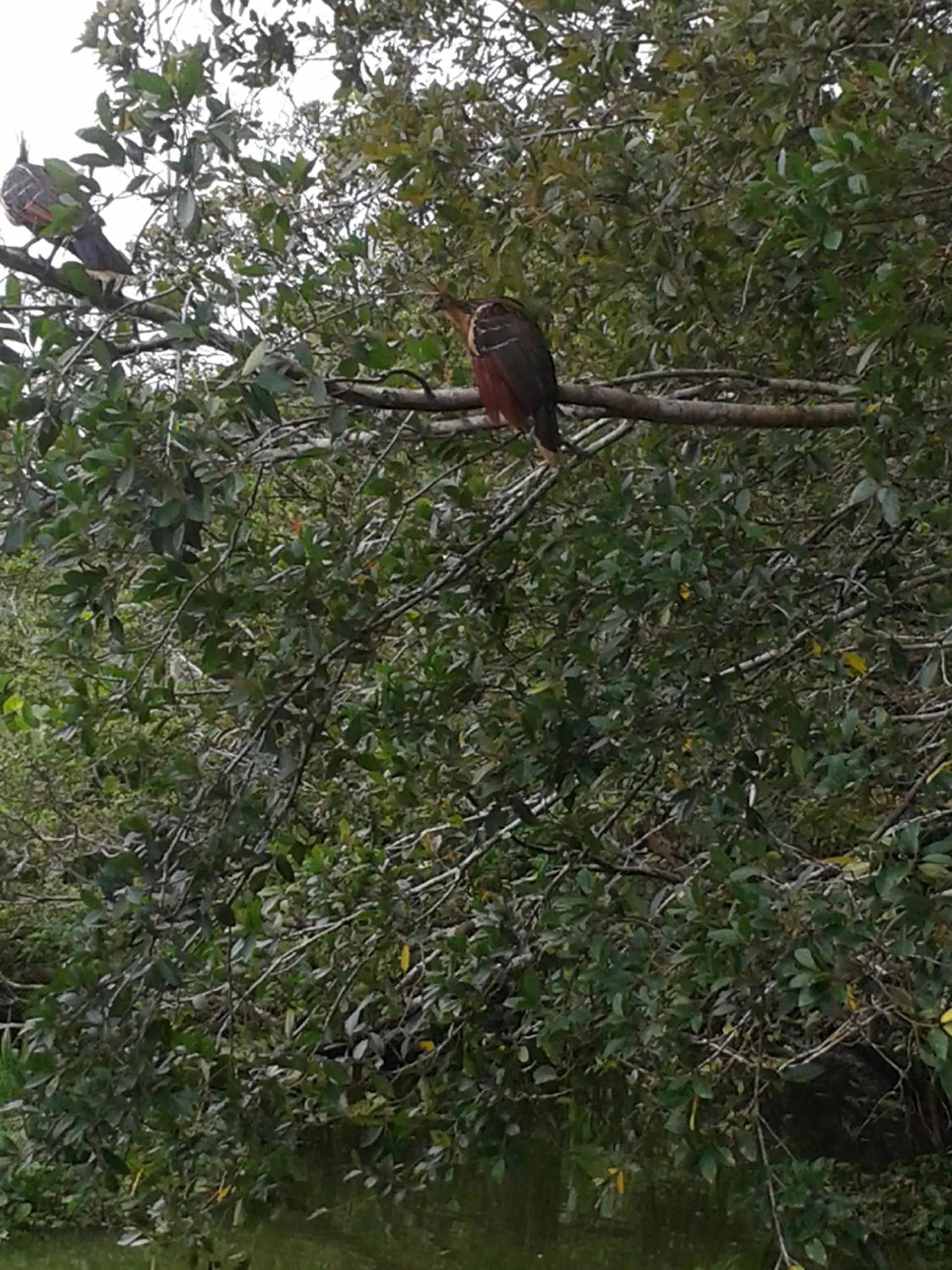 Natural landscape in Hotel Platinum Class