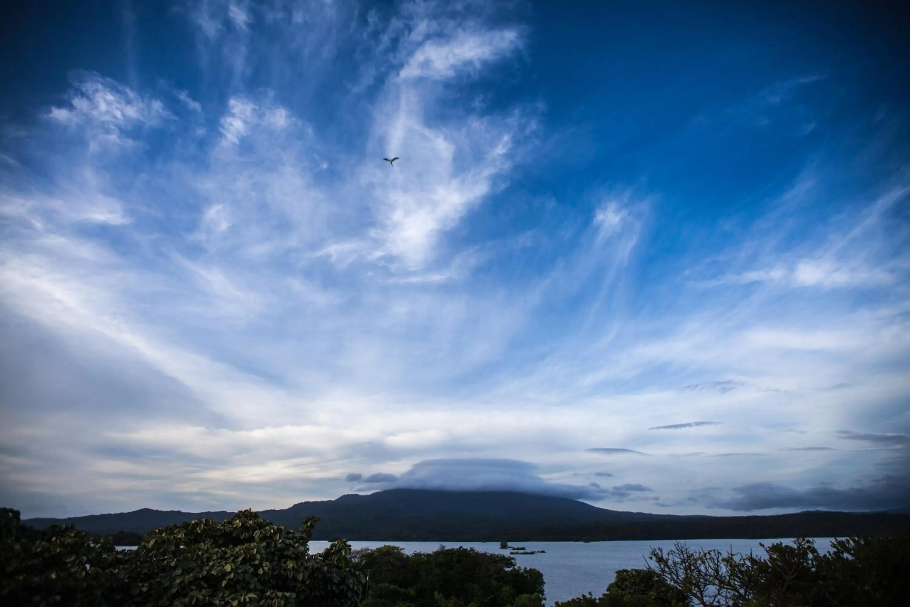 Natural landscape in Jicaro Island Lodge Member of the Cayuga Collection