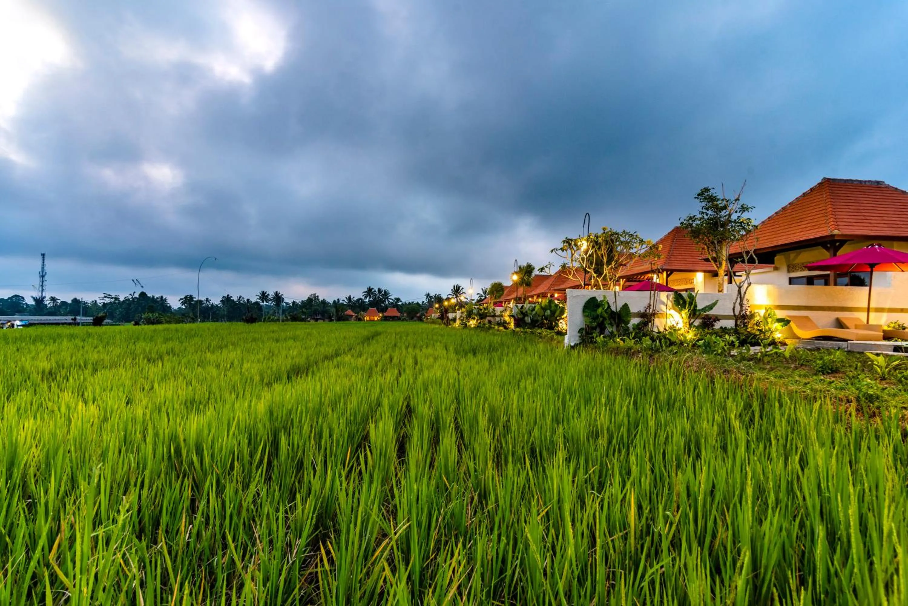 Garden in Akshaya Resort Ubud by Dhananjaya Hospitality