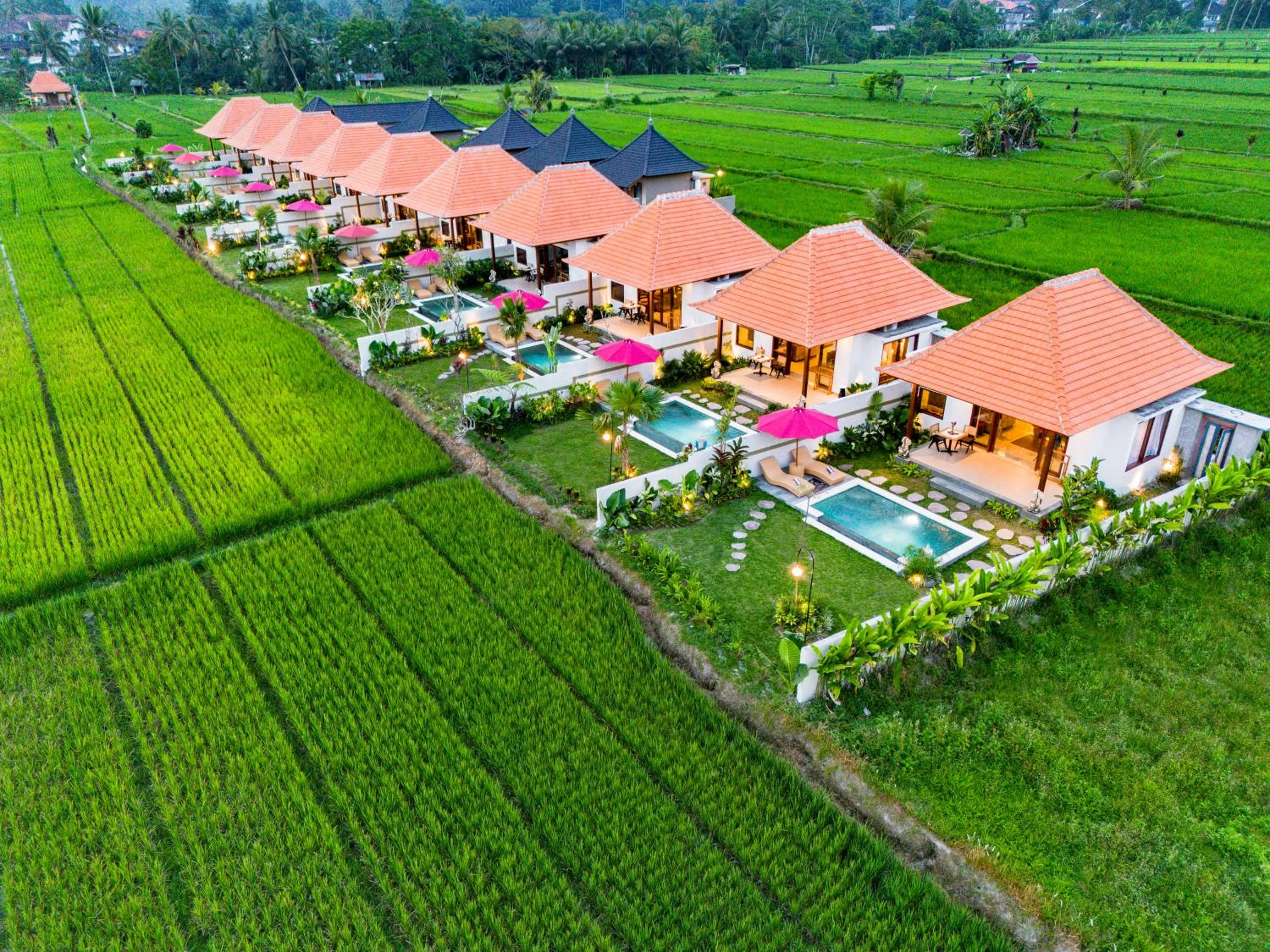 Spring in Akshaya Resort Ubud by Dhananjaya Hospitality