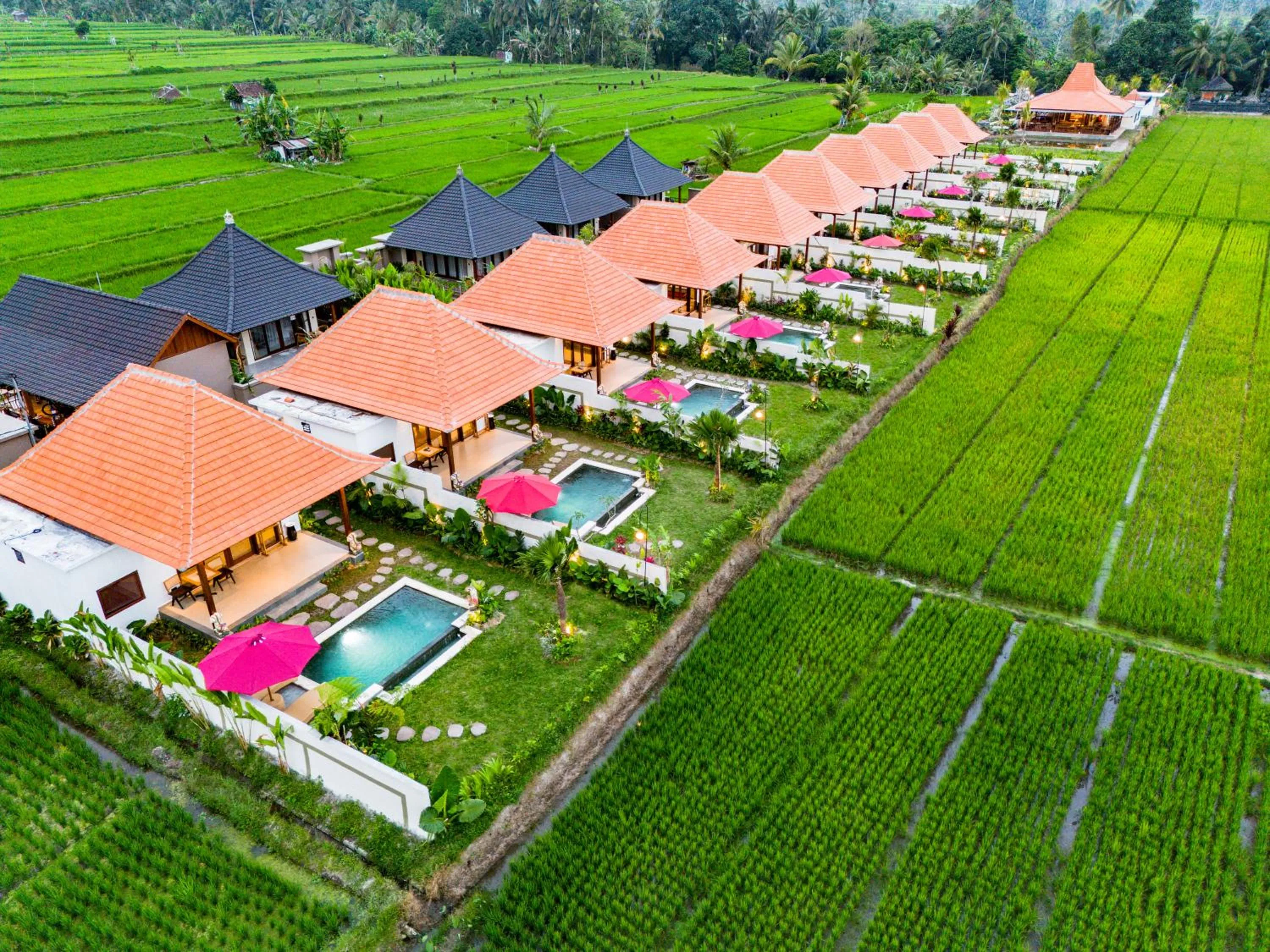 Garden in Akshaya Resort Ubud by Dhananjaya Hospitality