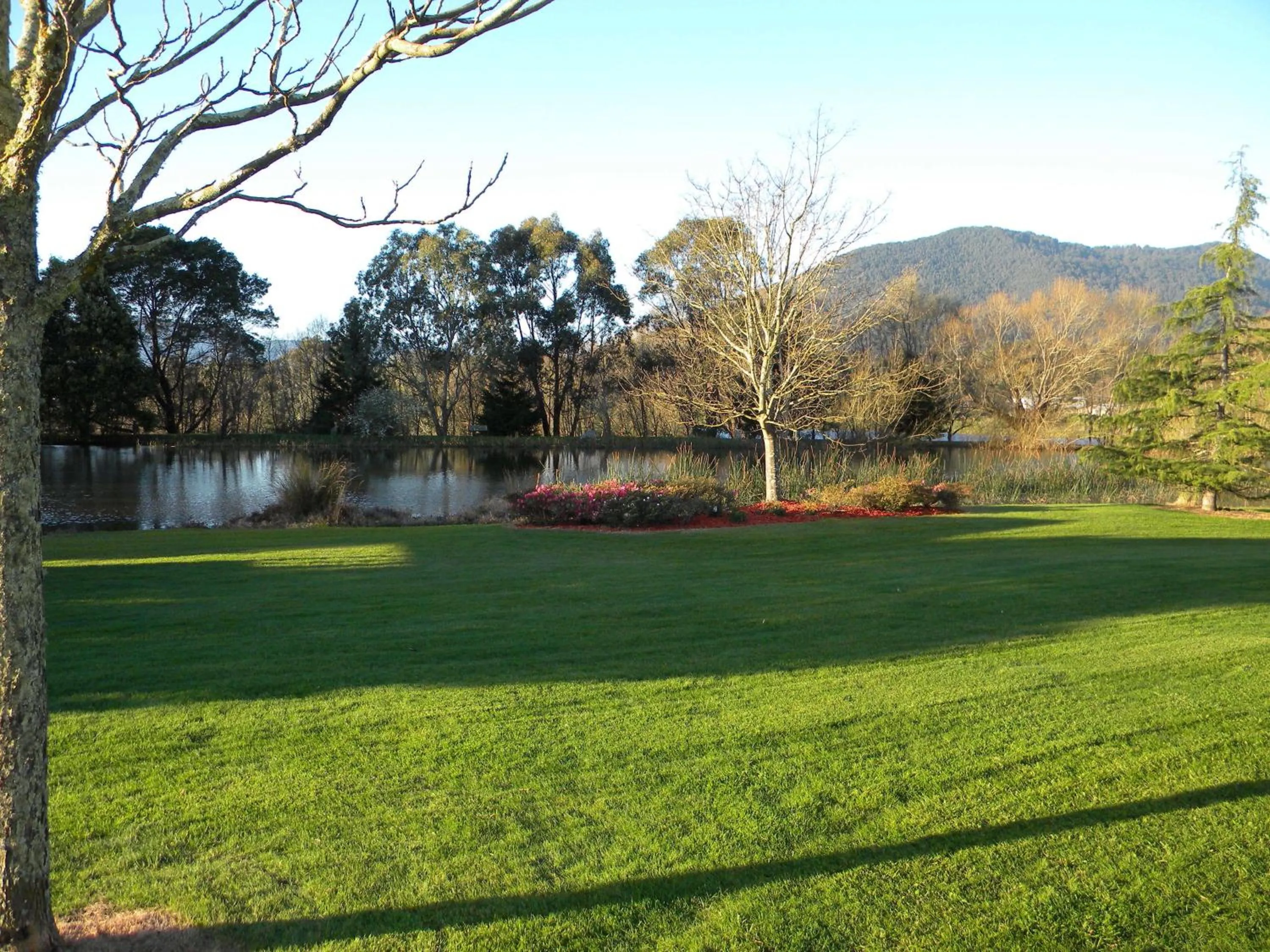 Garden view in Sanctuary Park Cottages