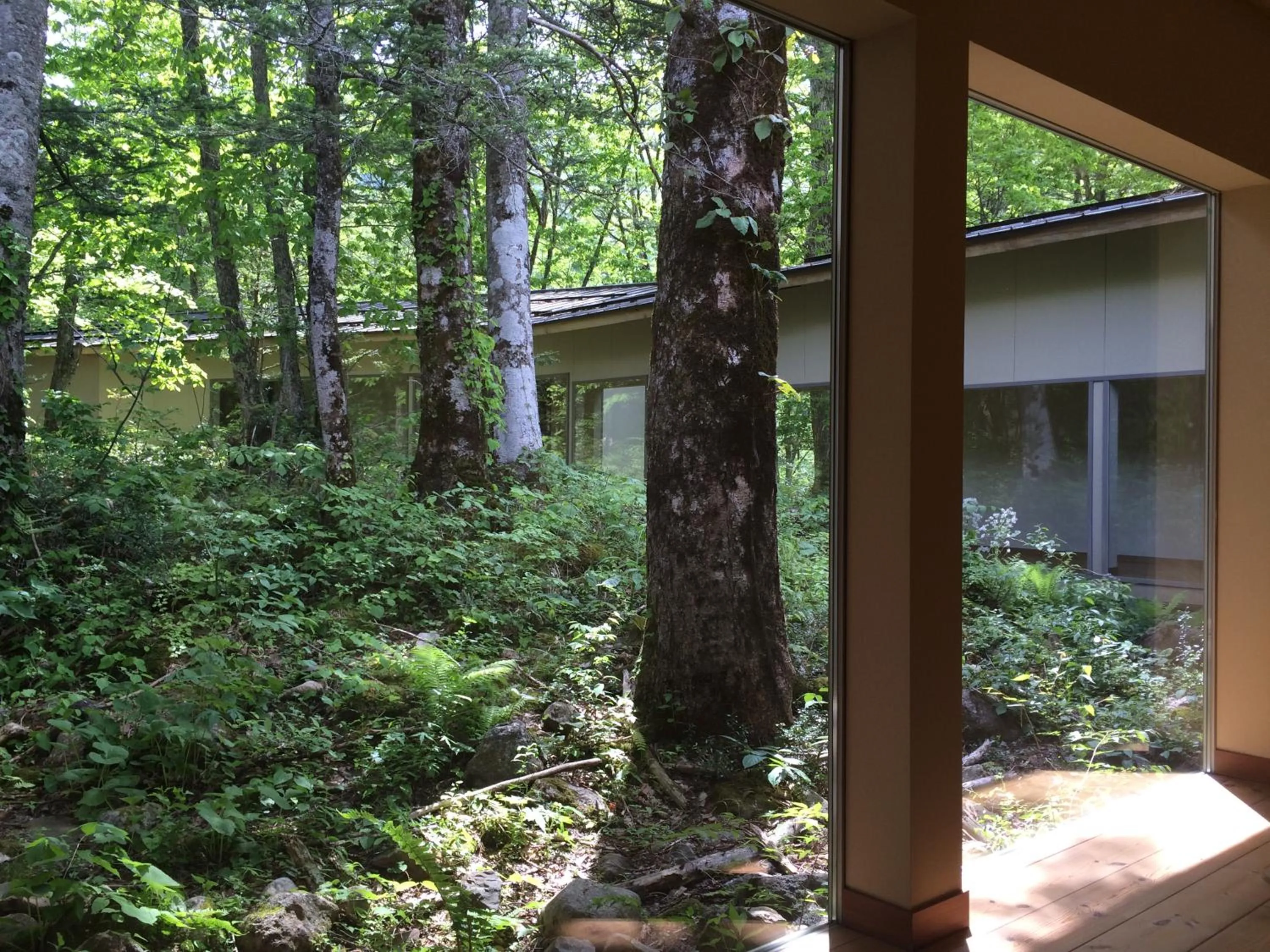 View (from property/room) in Mozumo (Adult Only)