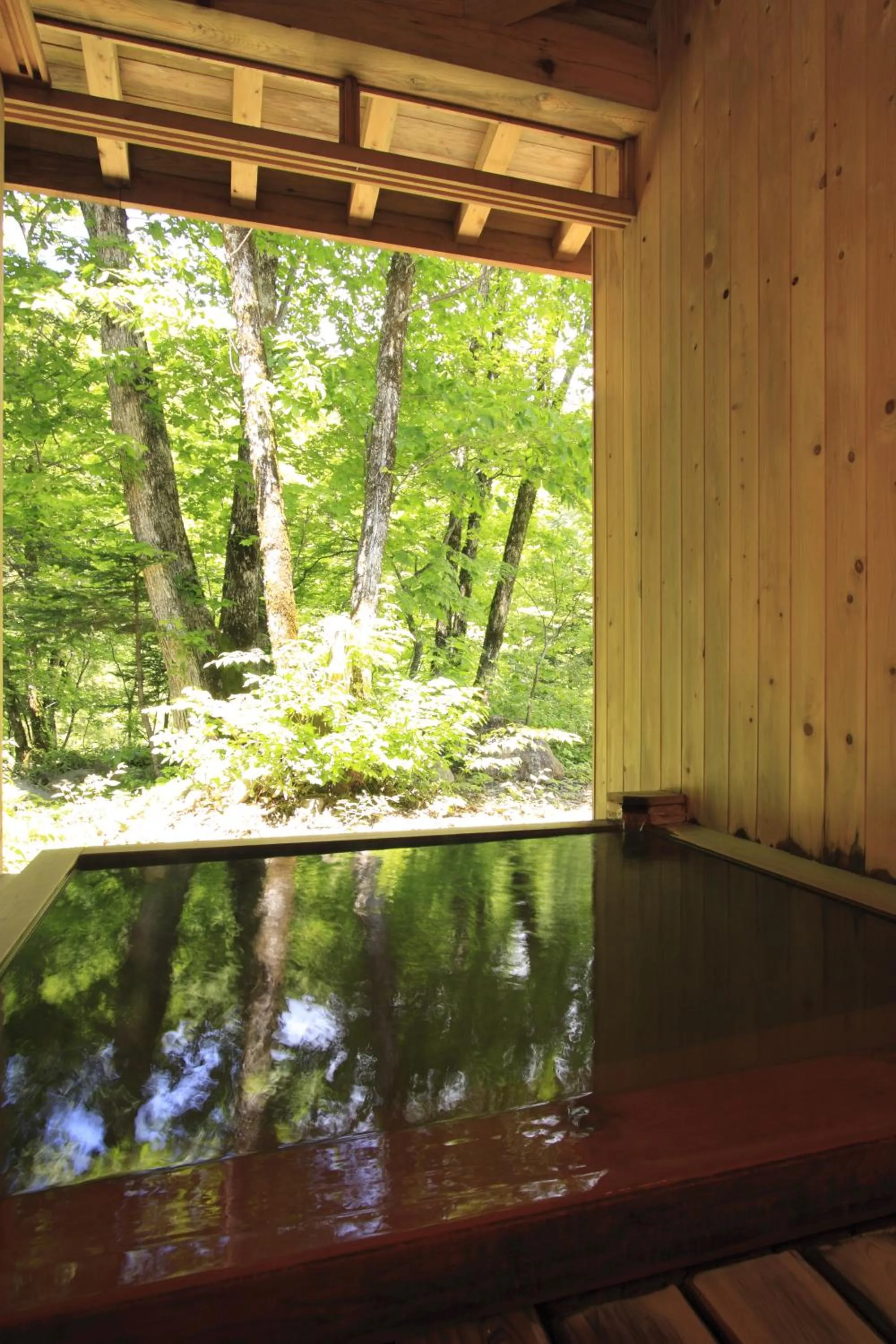 Open Air Bath in Mozumo (Adult Only)