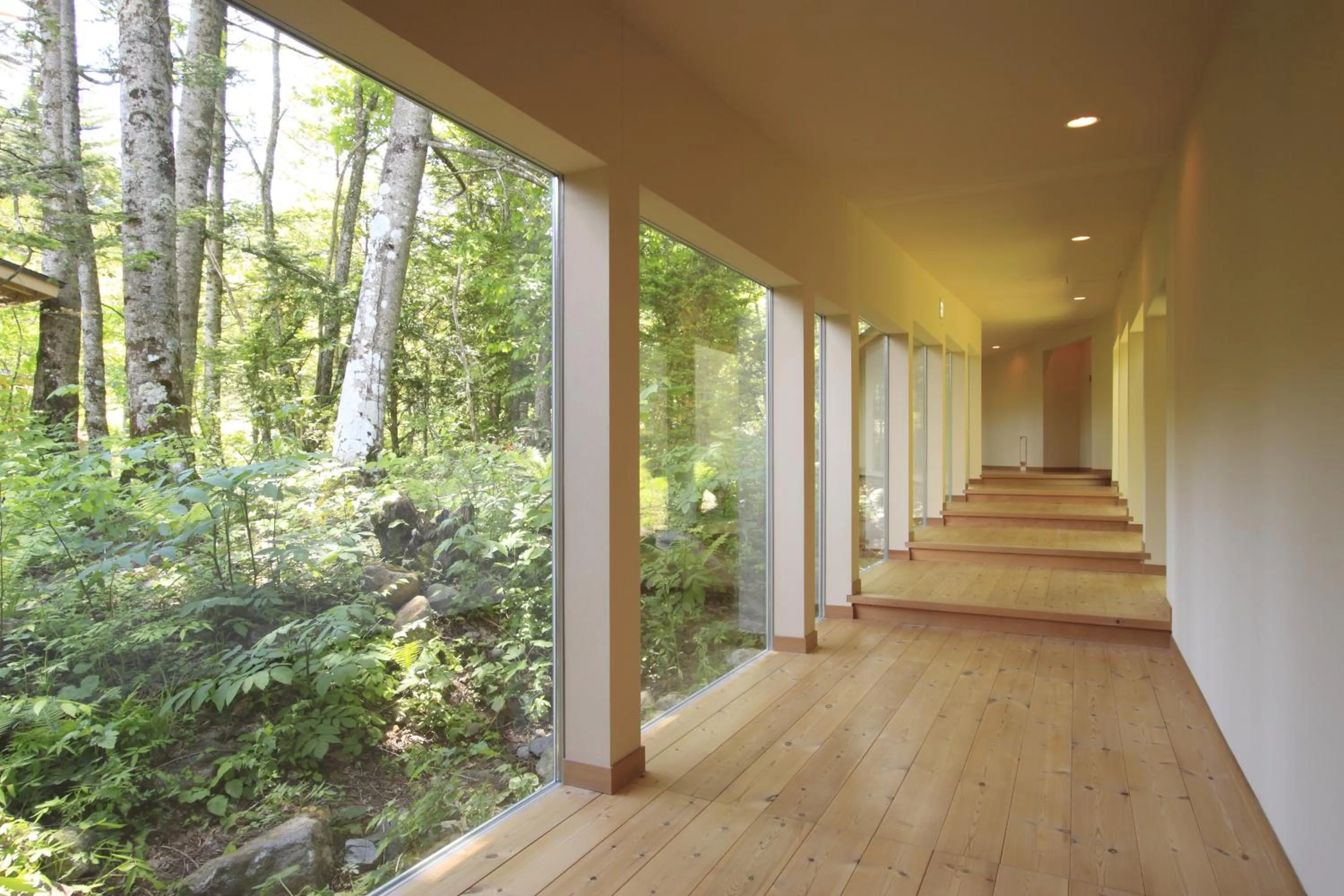 Area and facilities in Mozumo (Adult Only)