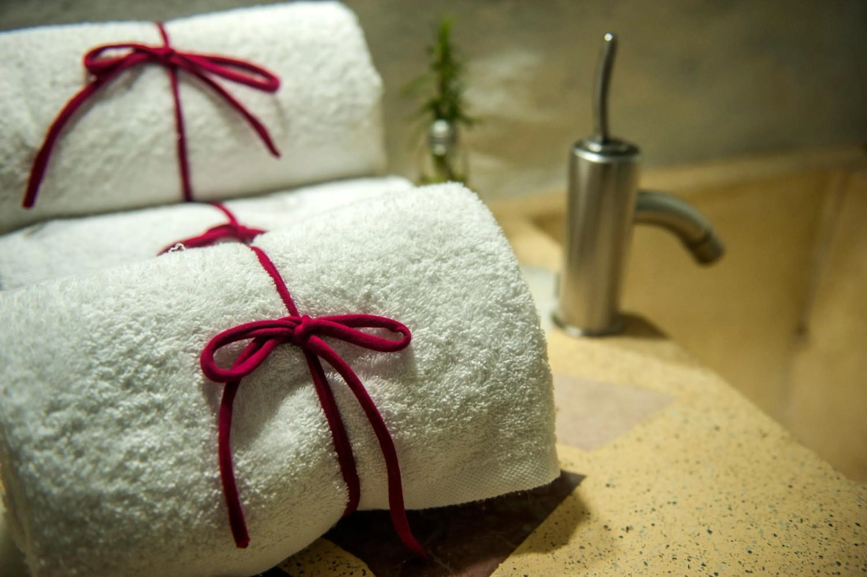 Toilet in Balcones de Piedad