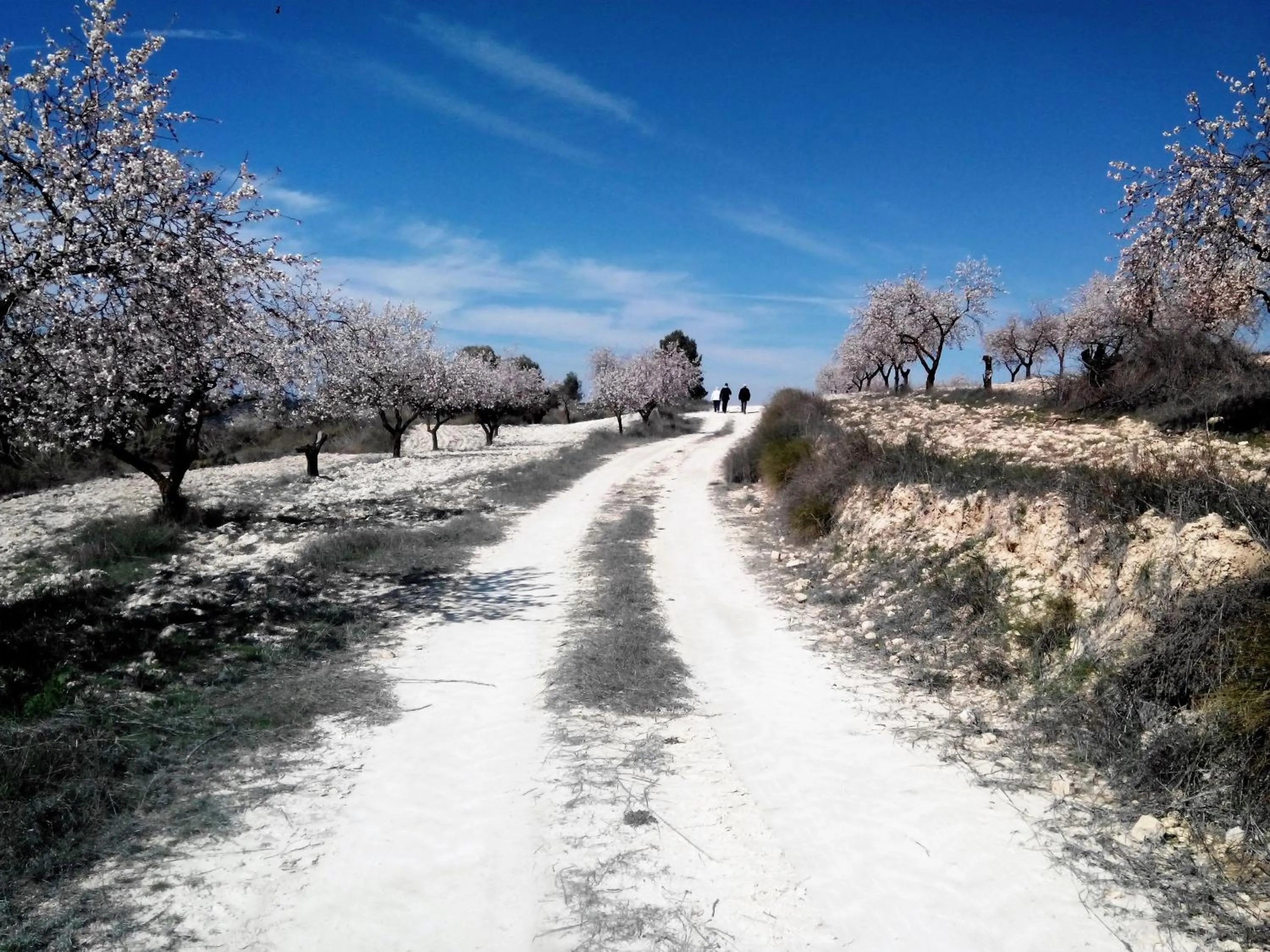 Property building in Balcones de Piedad