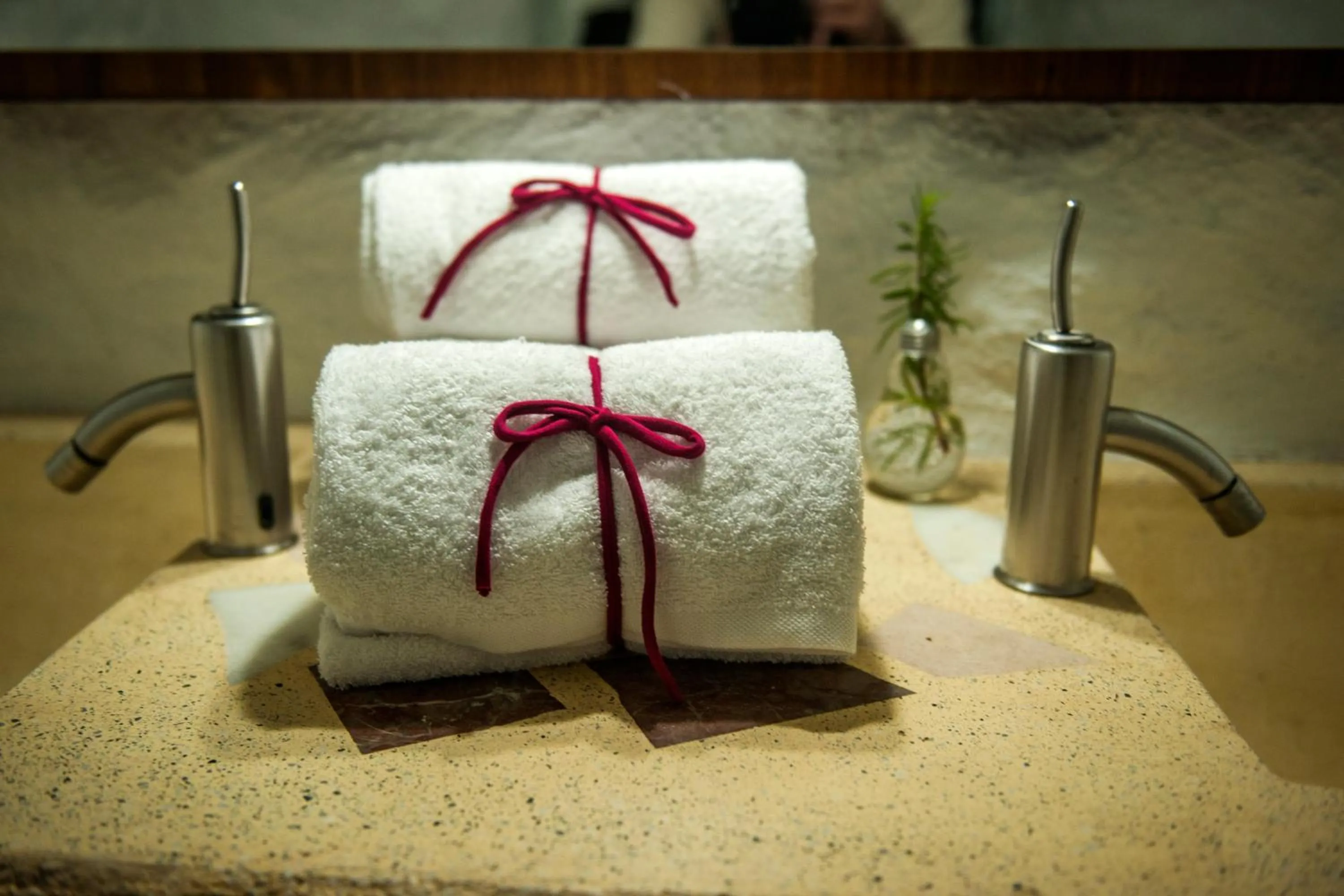 Toilet in Balcones de Piedad