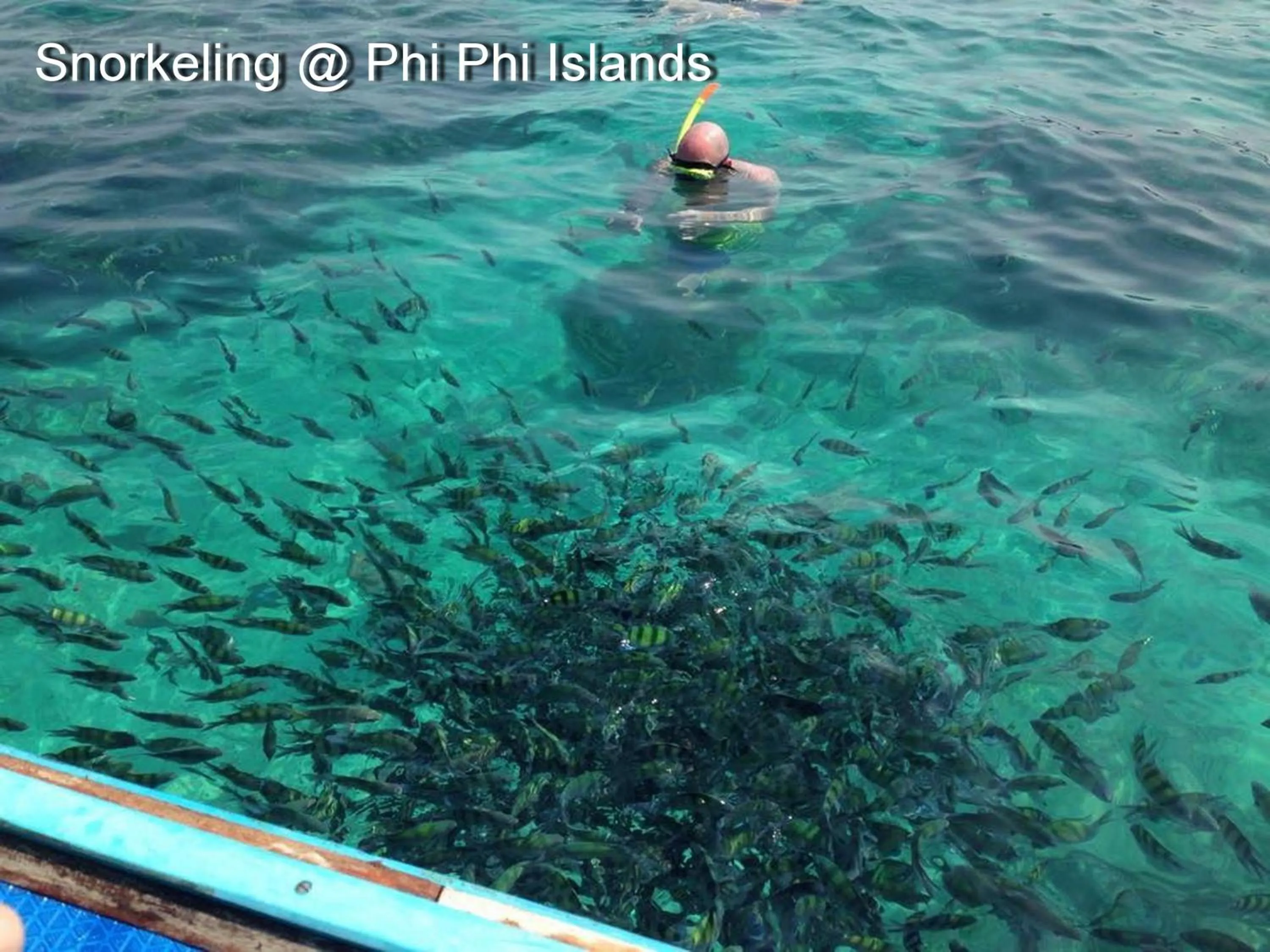 Snorkeling in Nautilus Right on the Beach - Adult Only - SHA Extra Plus