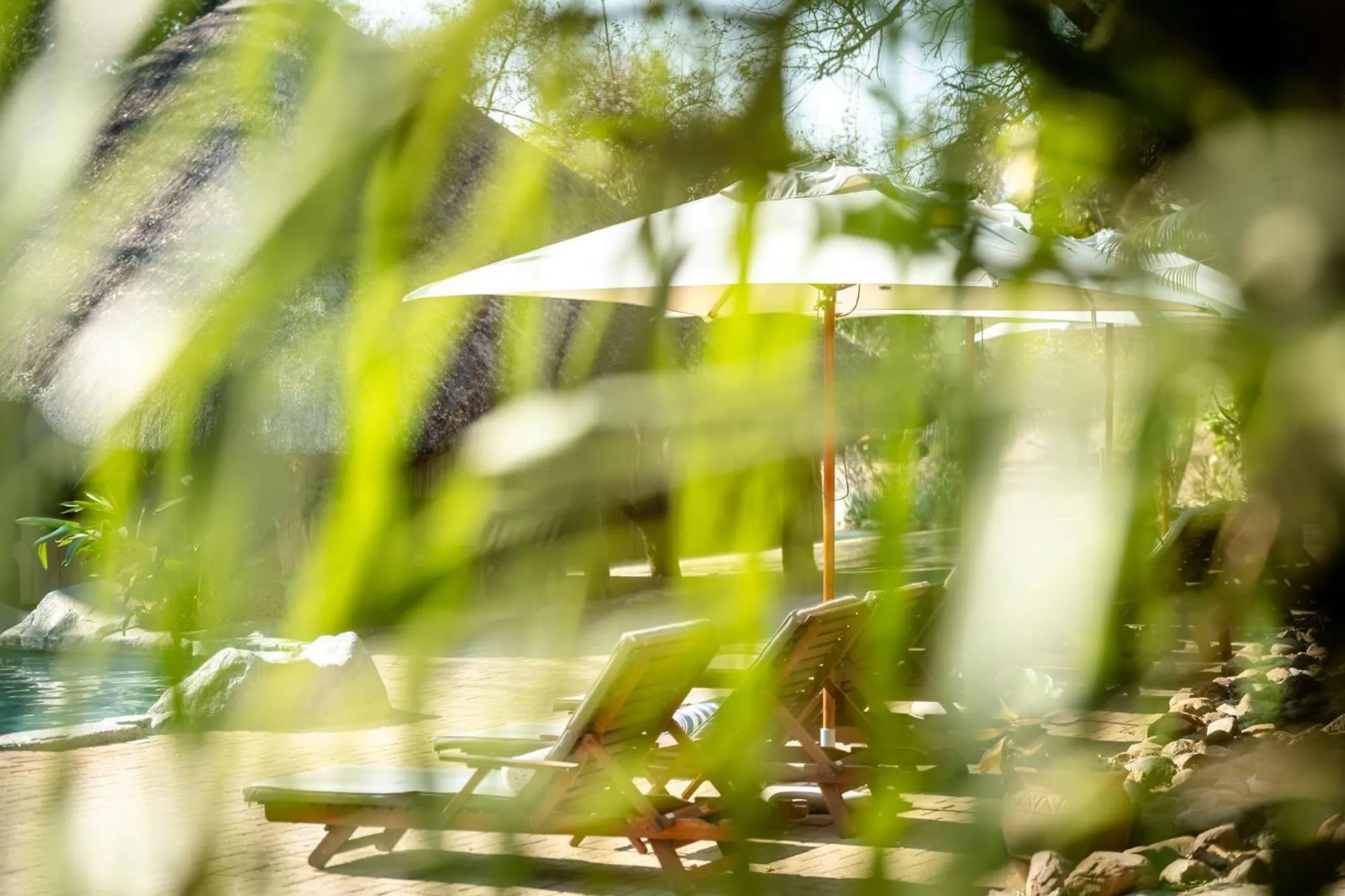Swimming pool in Karongwe- Shiduli Safari Lodge