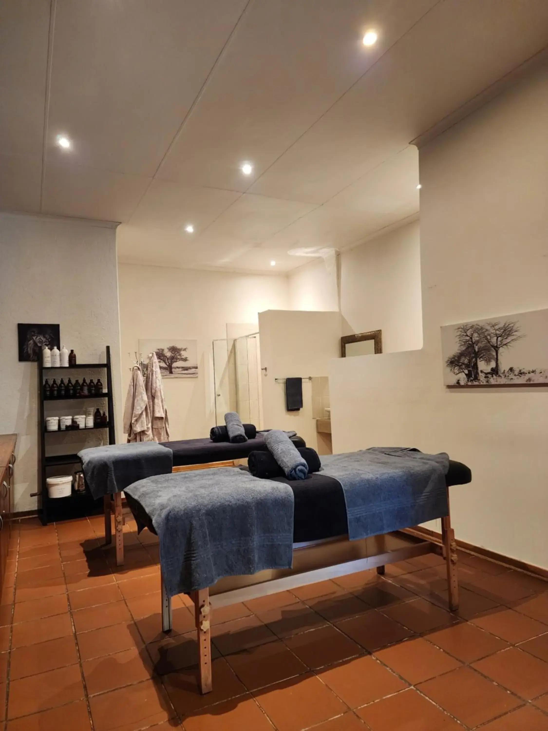 Spa and wellness centre/facilities in Karongwe- Shiduli Safari Lodge Spa and wellness centre/facilities in Karongwe- Shiduli Safari Lodge