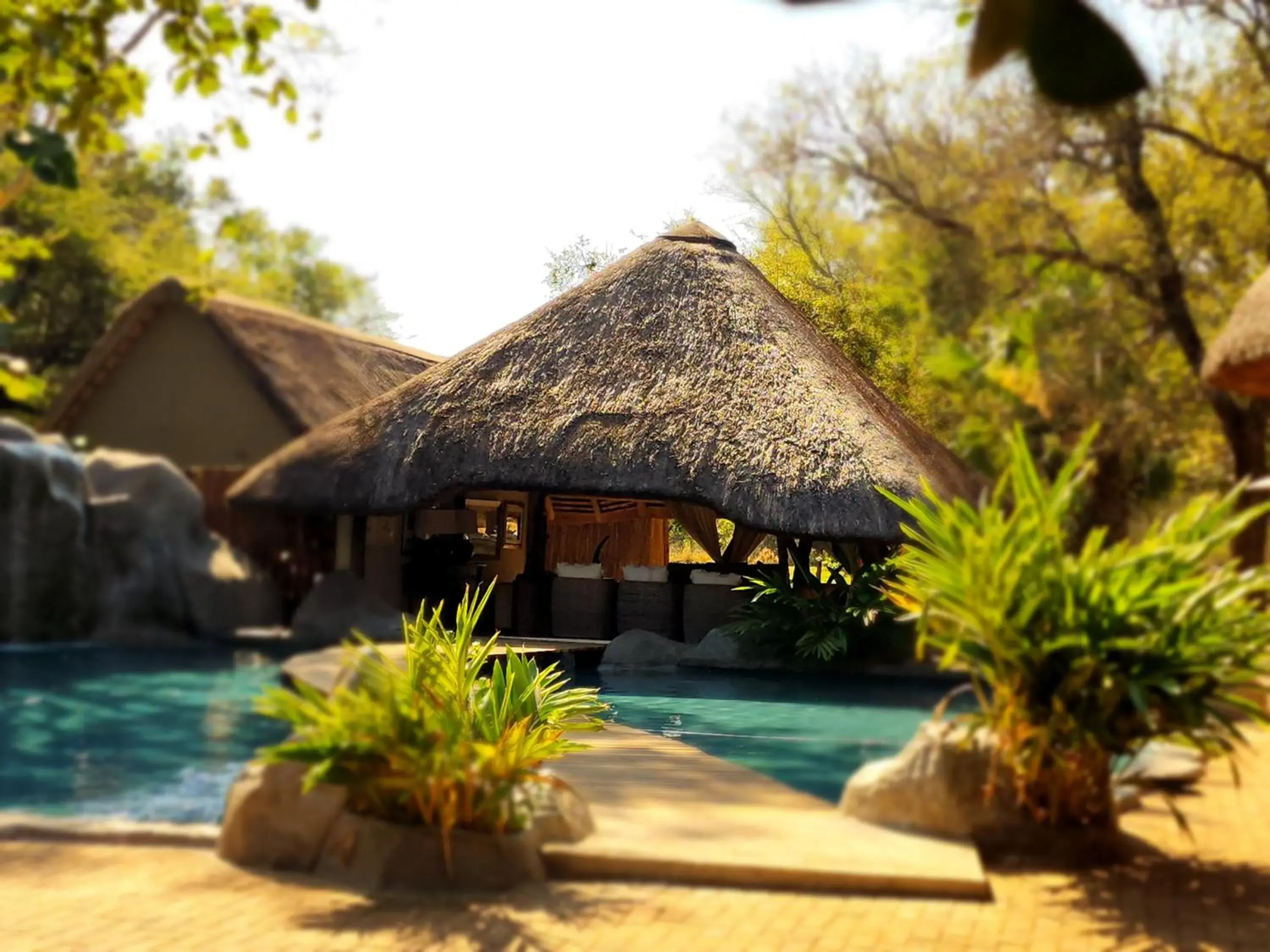 Swimming pool in Karongwe- Shiduli Safari Lodge Swimming pool in Karongwe- Shiduli Safari Lodge