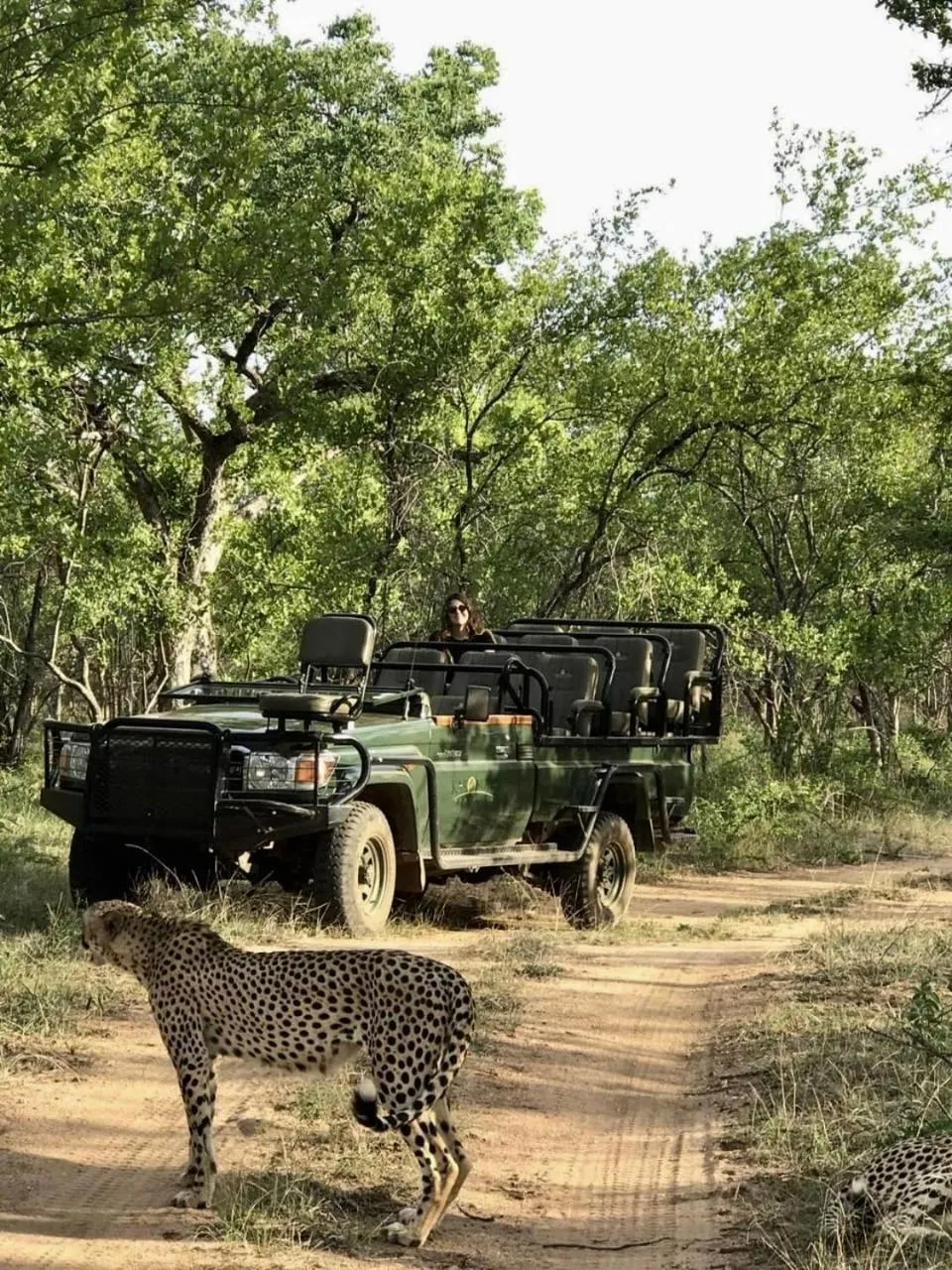 Communal lounge/ TV room in Karongwe- Shiduli Safari Lodge