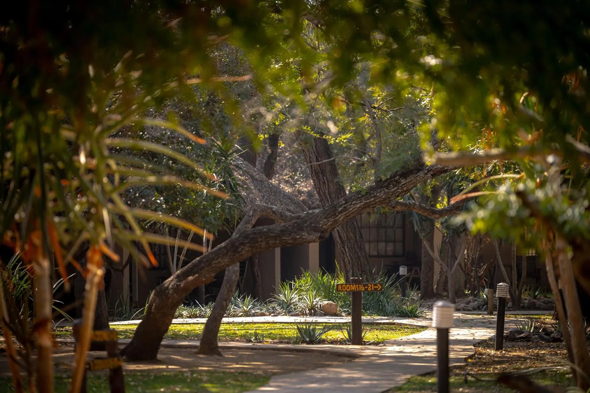 Garden in Karongwe- Shiduli Safari Lodge