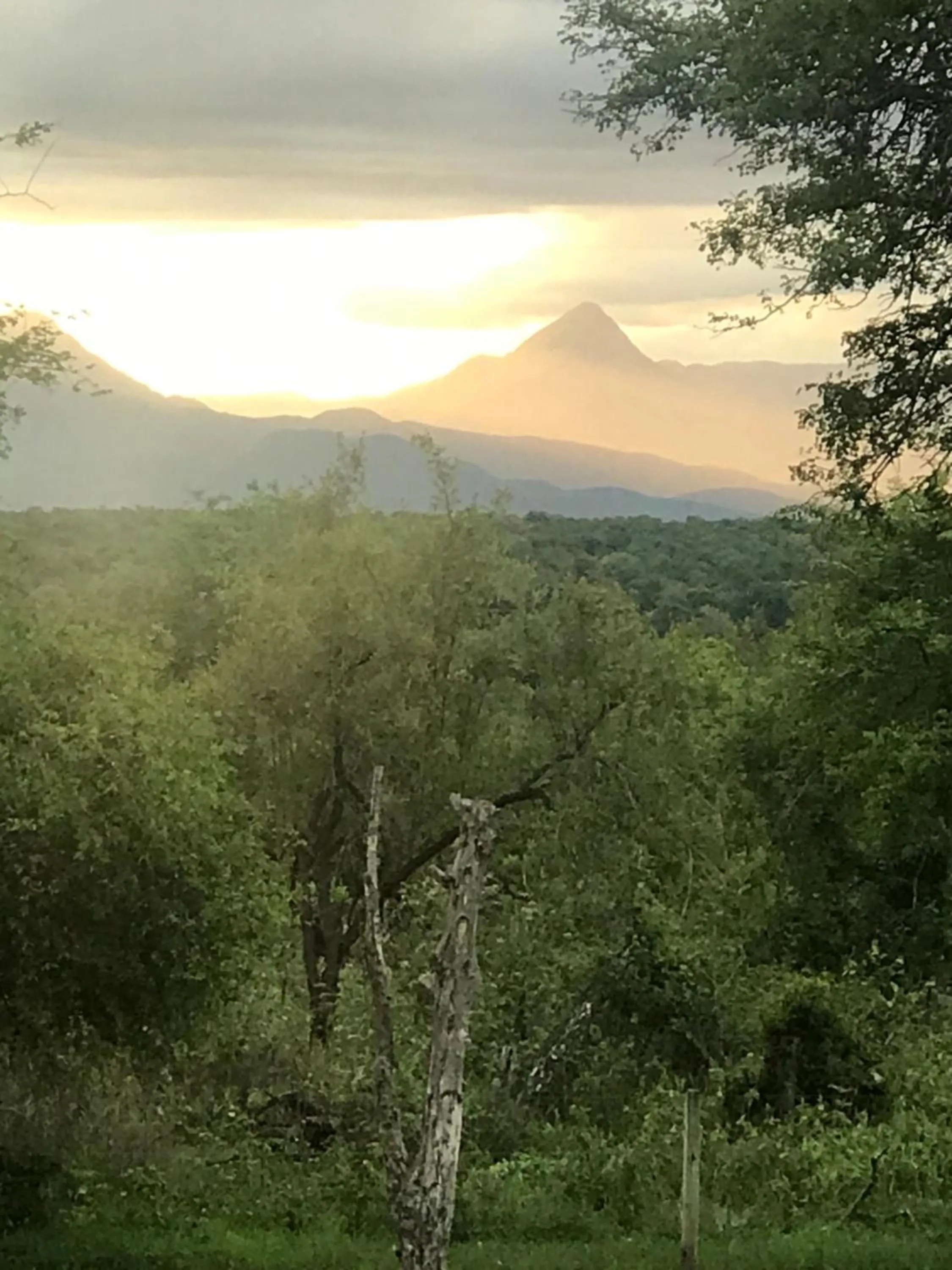 Natural landscape in Karongwe- Shiduli Safari Lodge