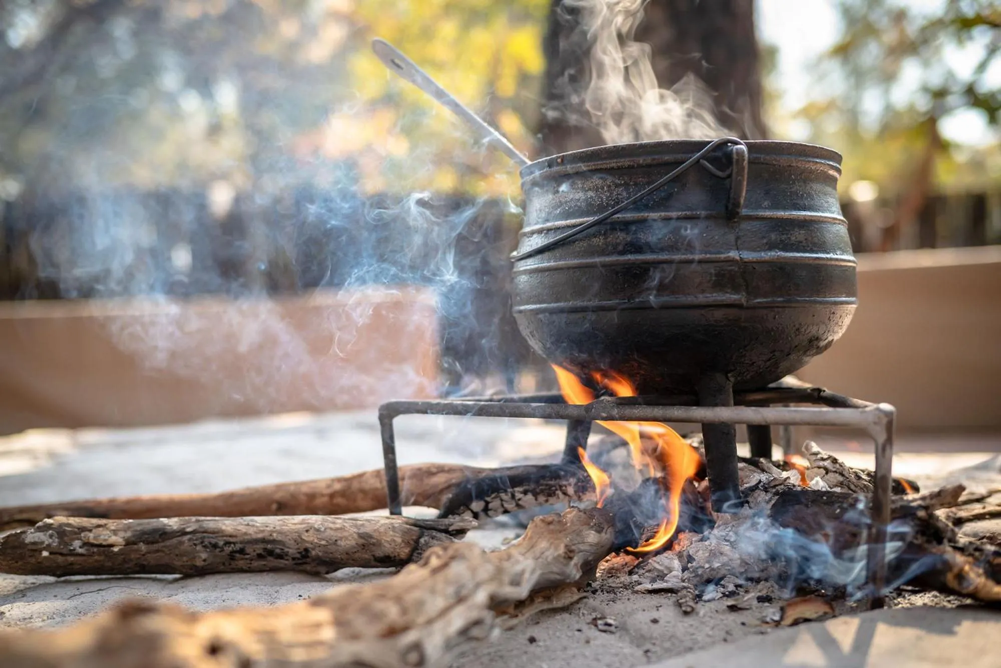 Winter in Karongwe- Shiduli Safari Lodge