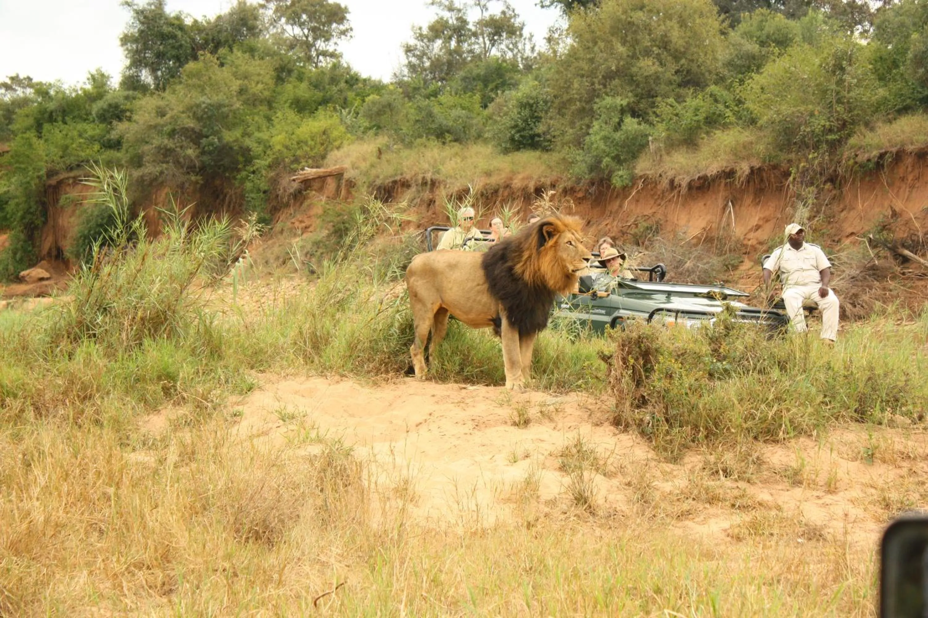 Property building in Karongwe- Shiduli Safari Lodge