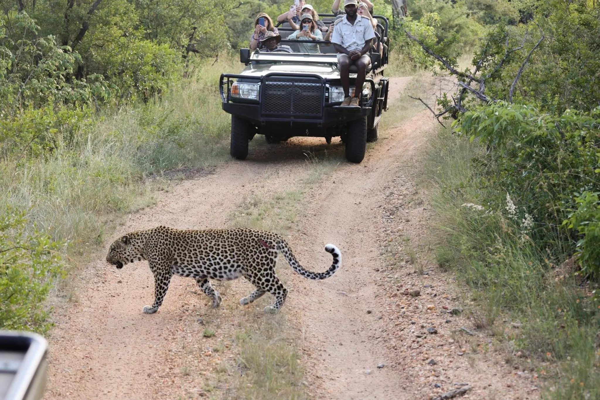 Activities in Karongwe - Chisomo Safari Camp