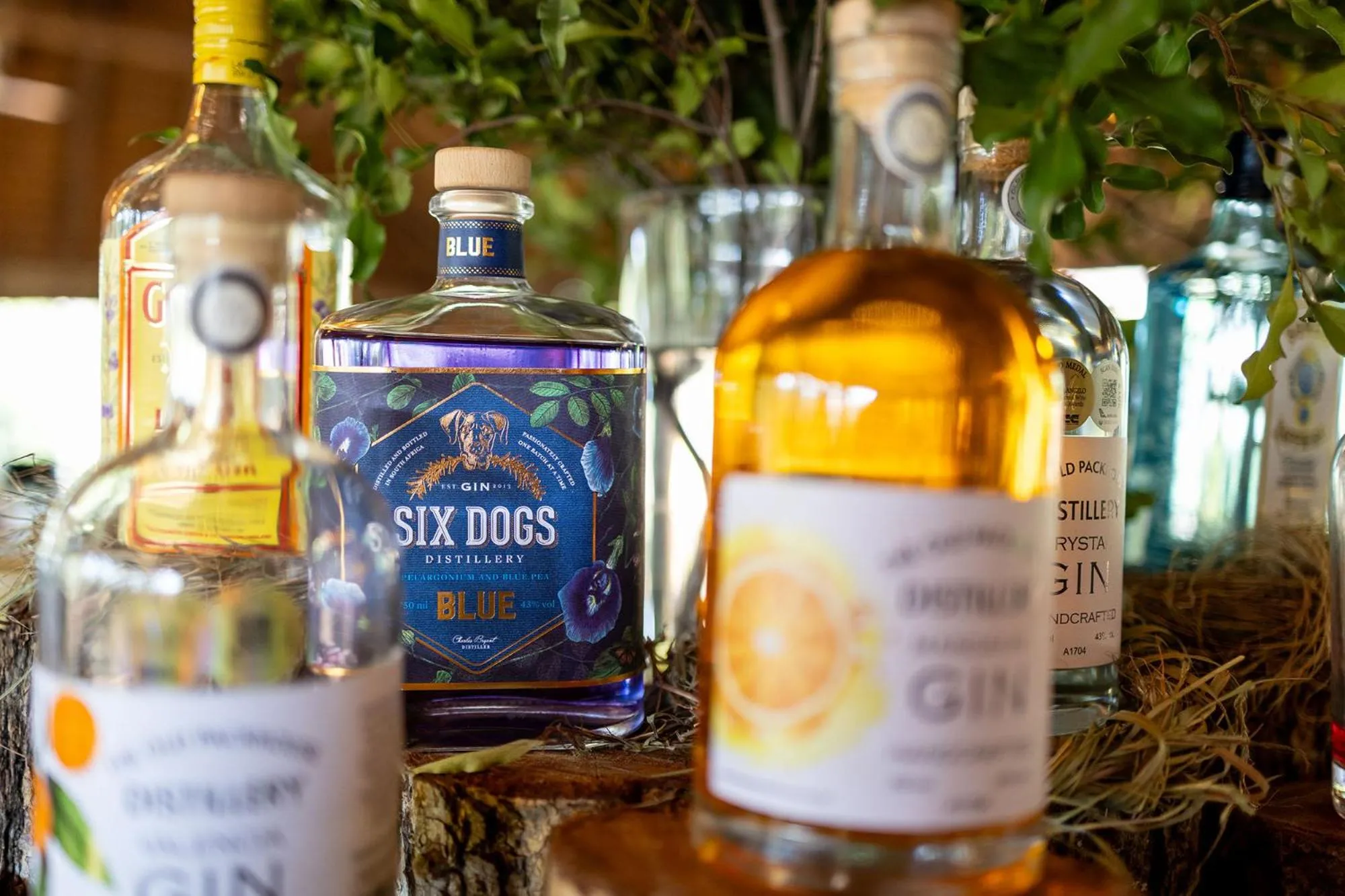 Activities in Karongwe - Chisomo Safari Camp