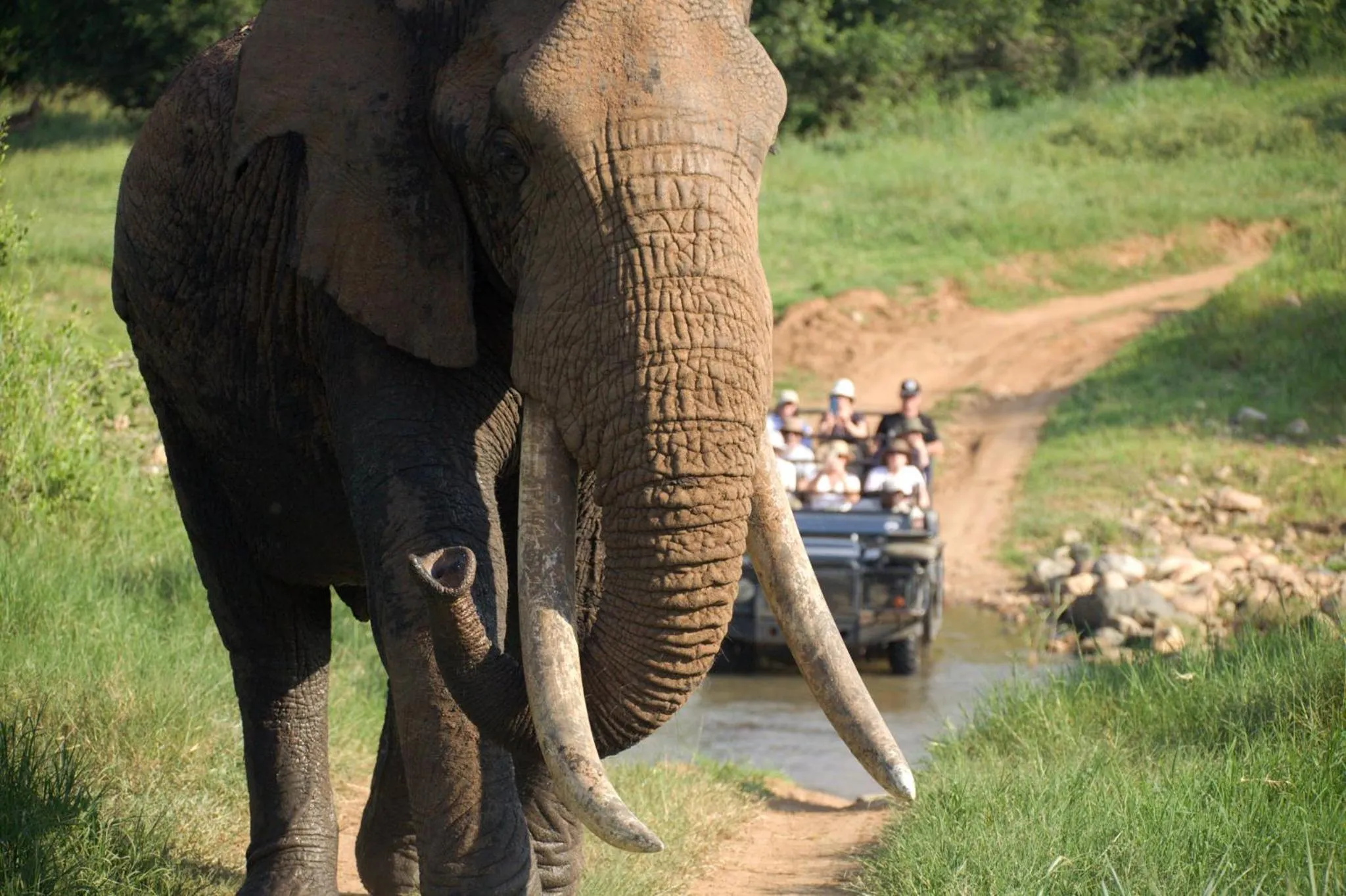 Activities in Karongwe - Chisomo Safari Camp