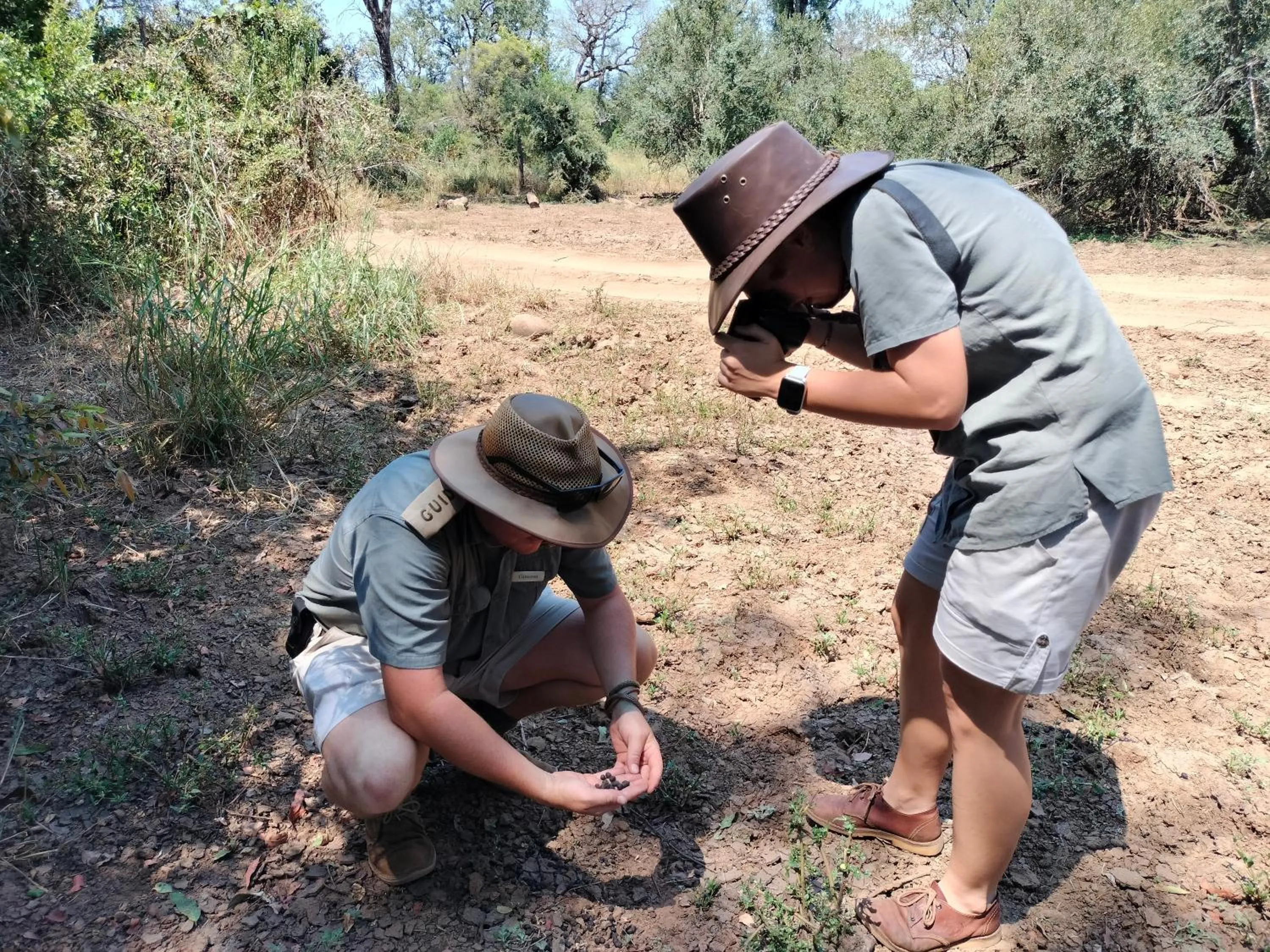 Day in Karongwe - Chisomo Safari Camp
