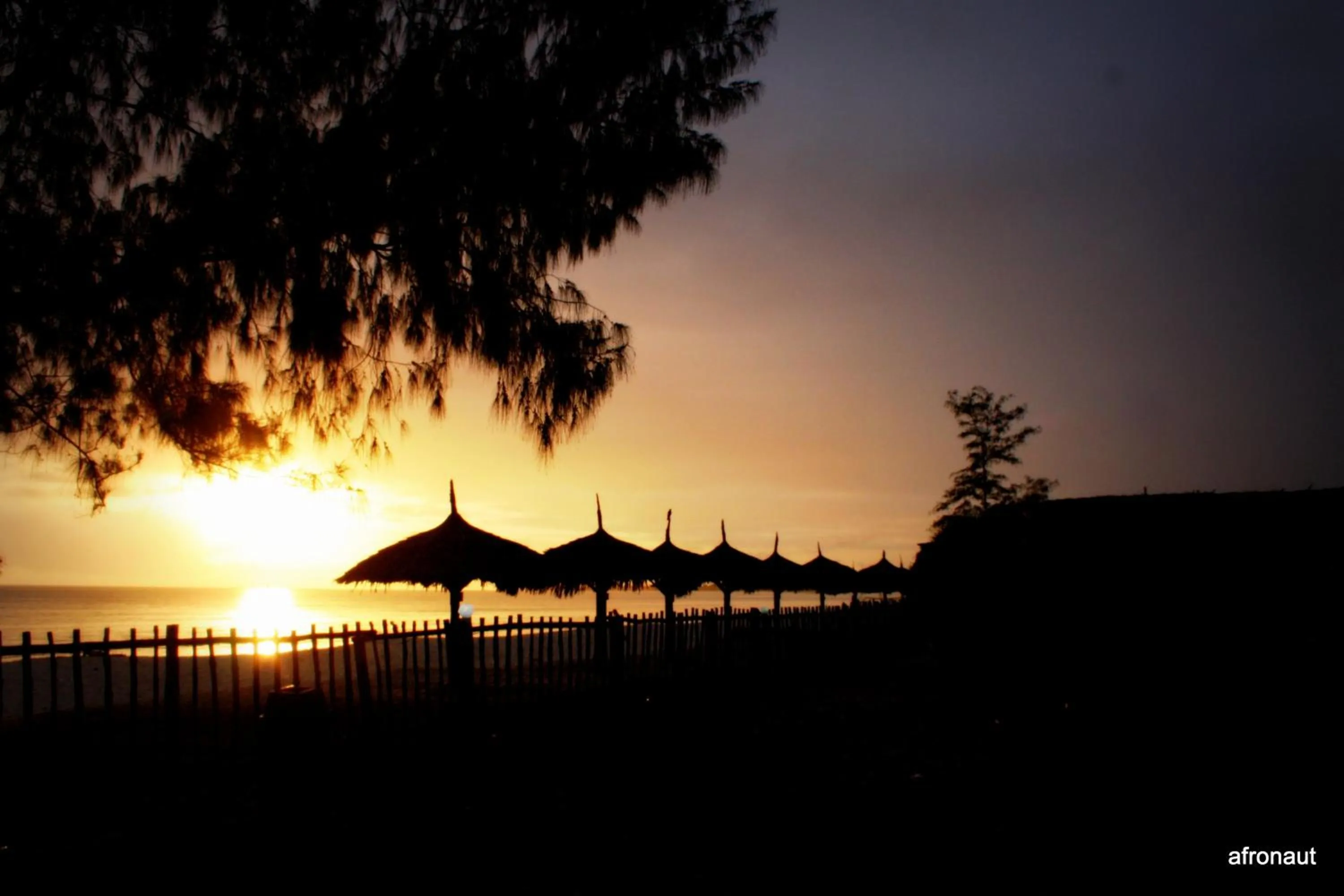Beach in Kipepeo Beach and Village