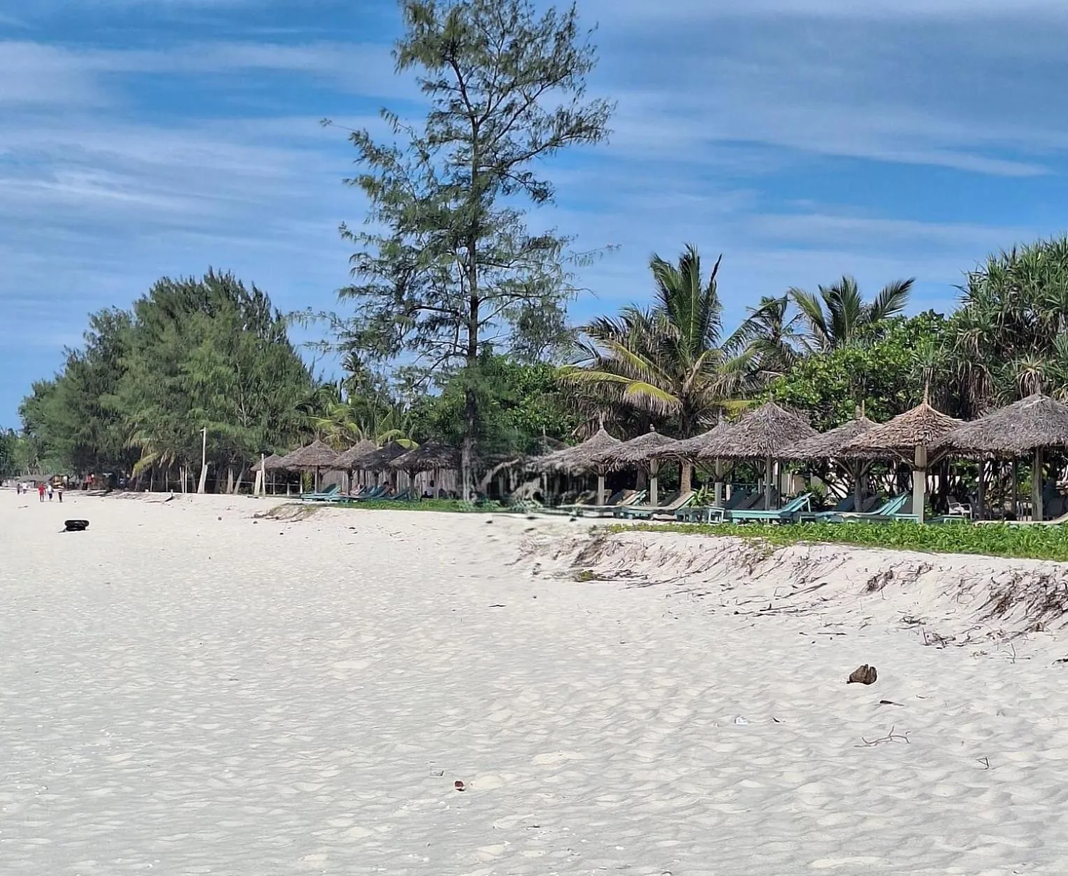 Beach in Kipepeo Beach and Village