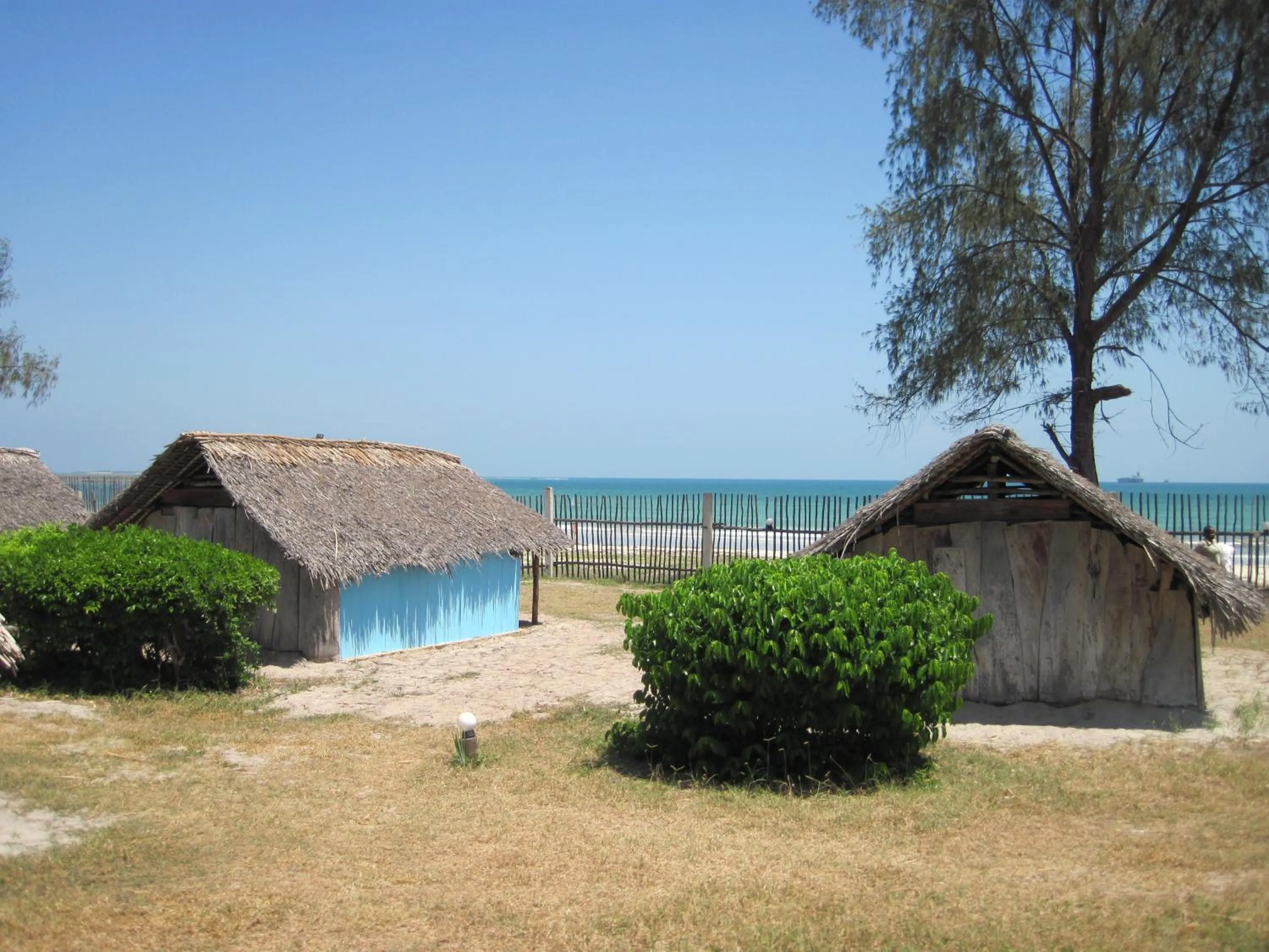 Garden in Kipepeo Beach and Village
