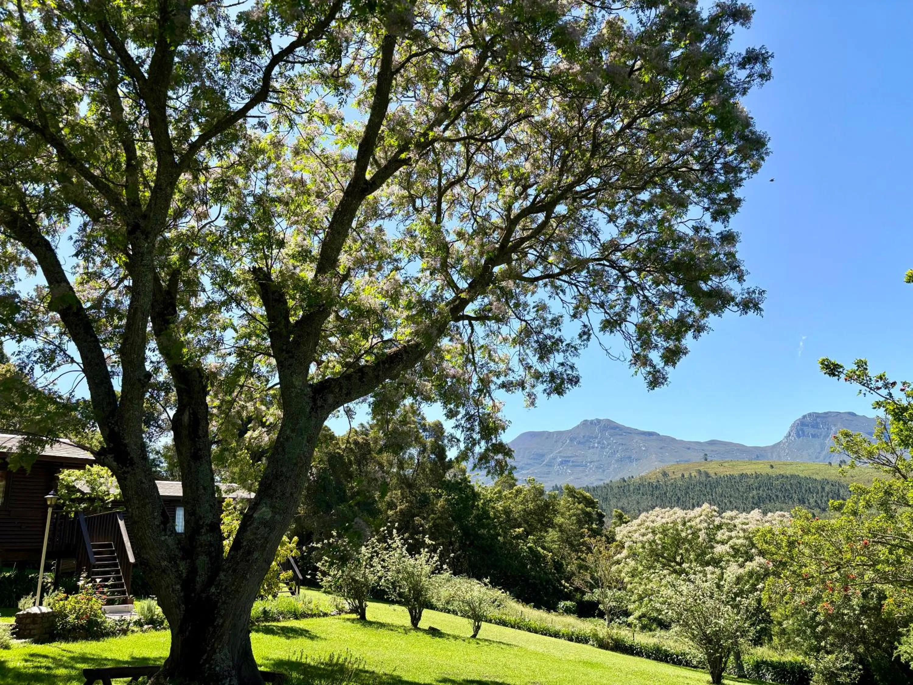 Natural landscape in Eight Bells Mountain Inn