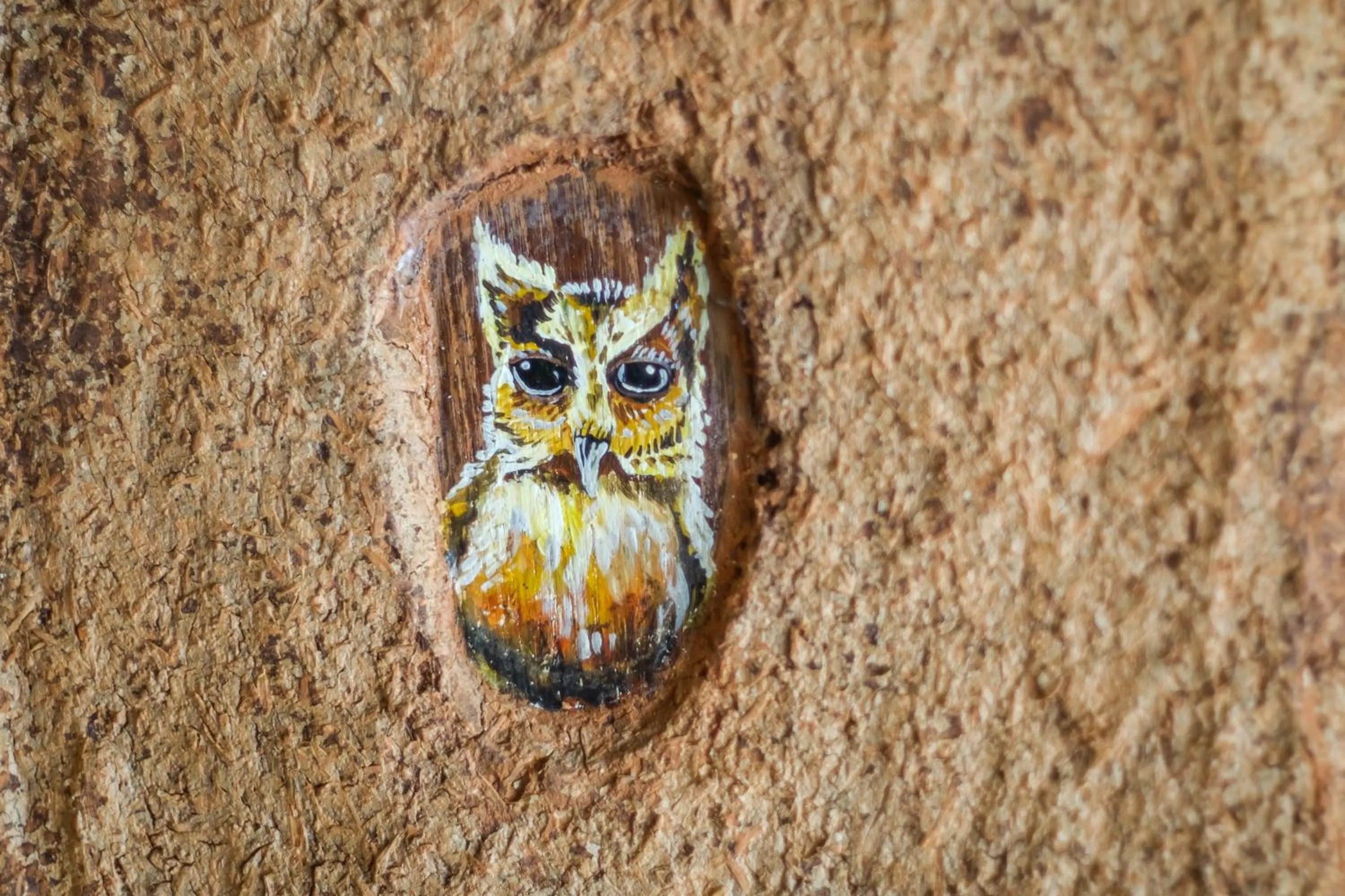 Sawasdeepai River Resort