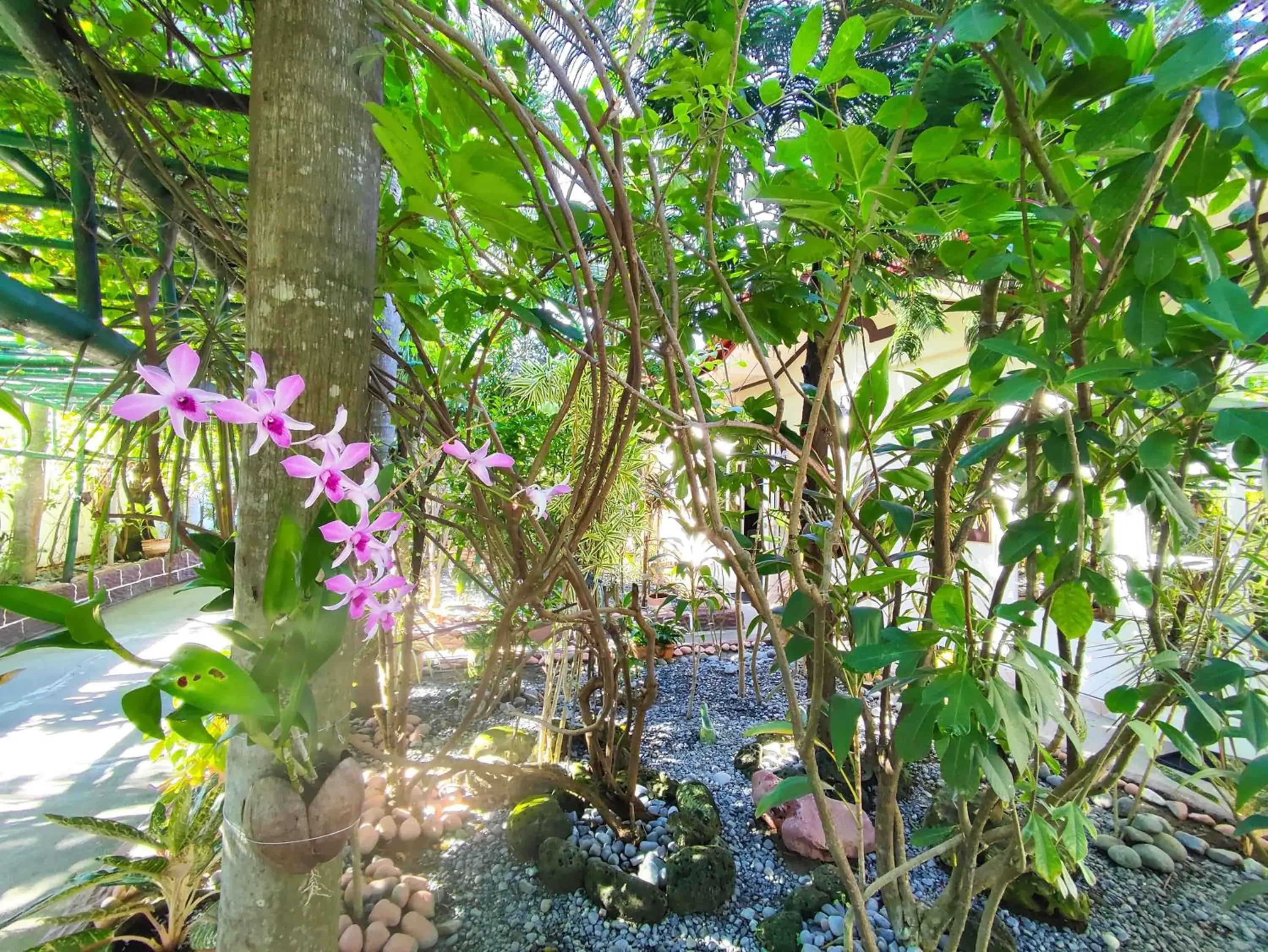 Double Room with Garden View in Olana Bed and Breakfast Double Room with Garden View in Olana Bed and Breakfast