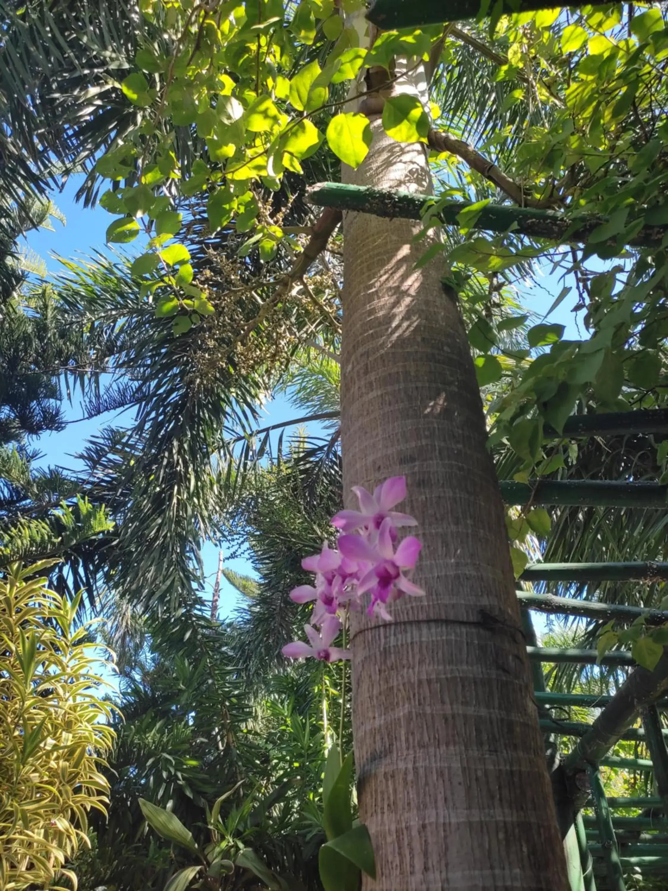 Triple Room with Garden View in Olana Bed and Breakfast Triple Room with Garden View in Olana Bed and Breakfast