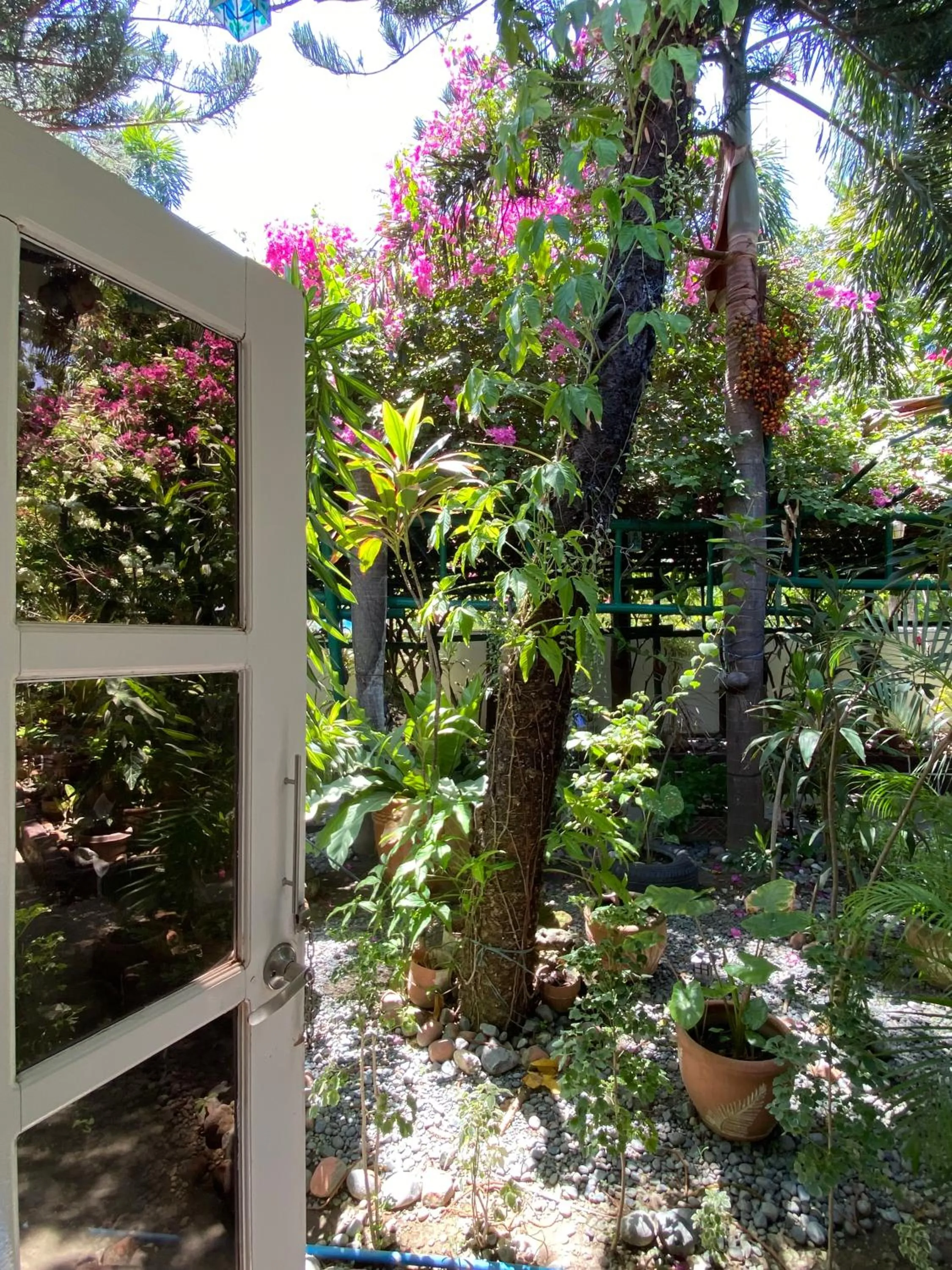 Day in Olana Bed and Breakfast