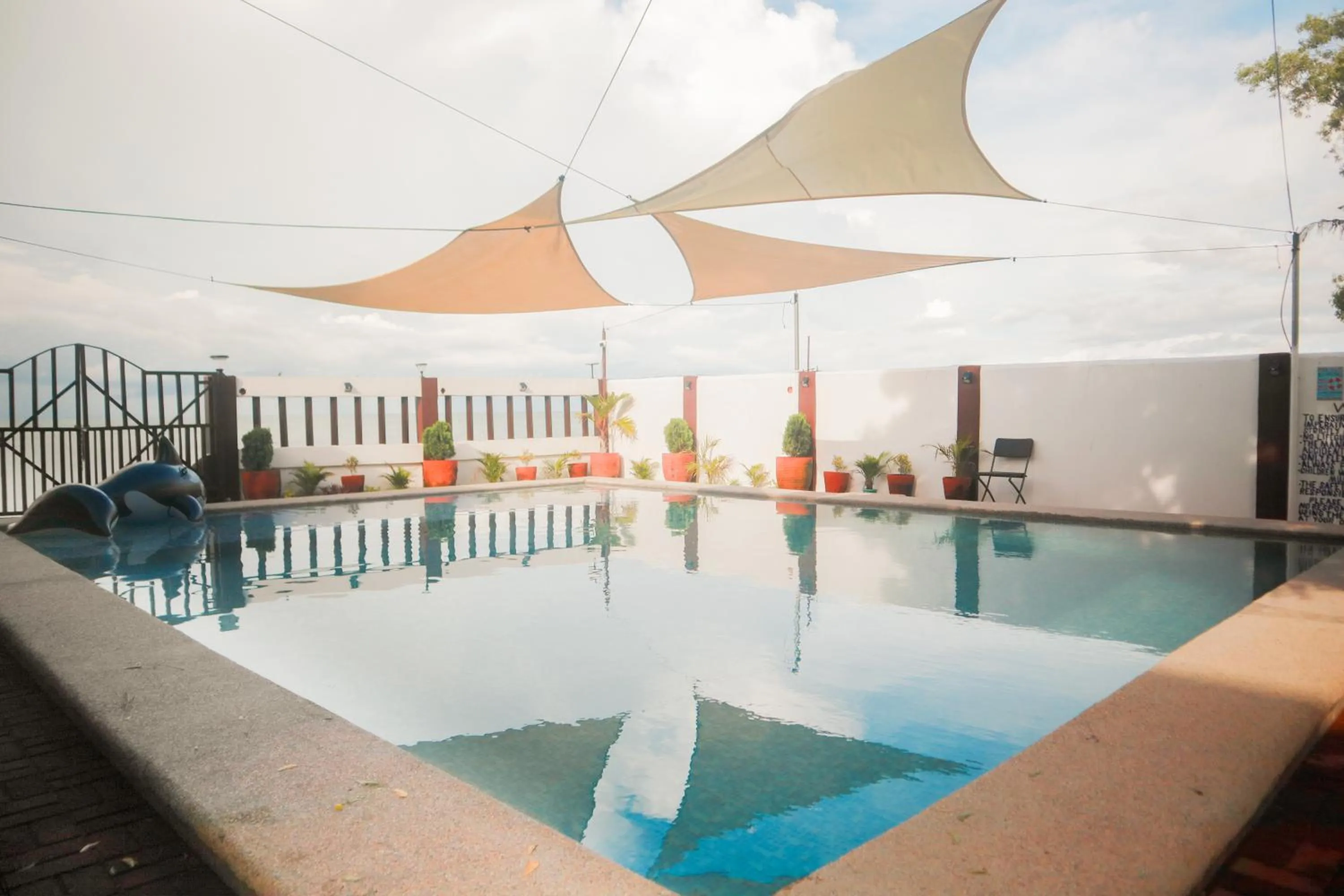 Activities in Olana Bed and Breakfast