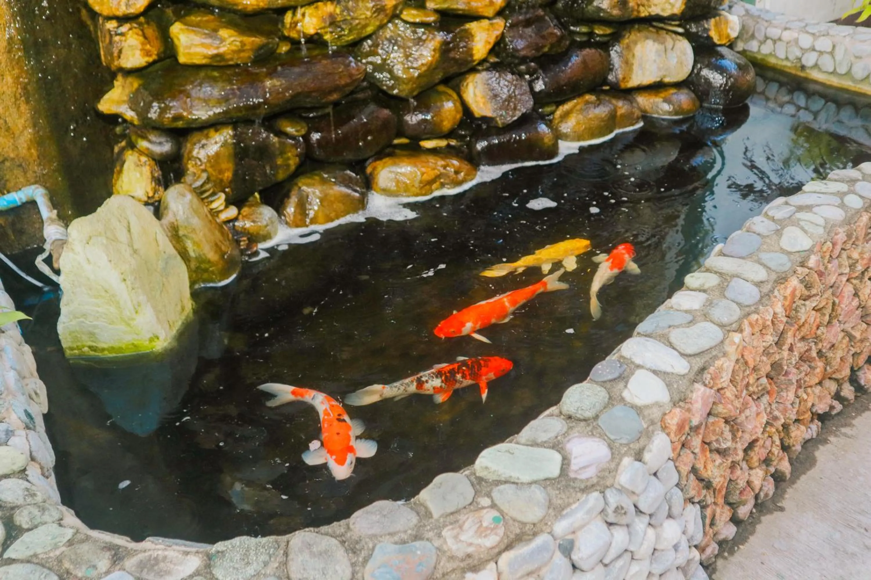 Natural landscape in Olana Bed and Breakfast