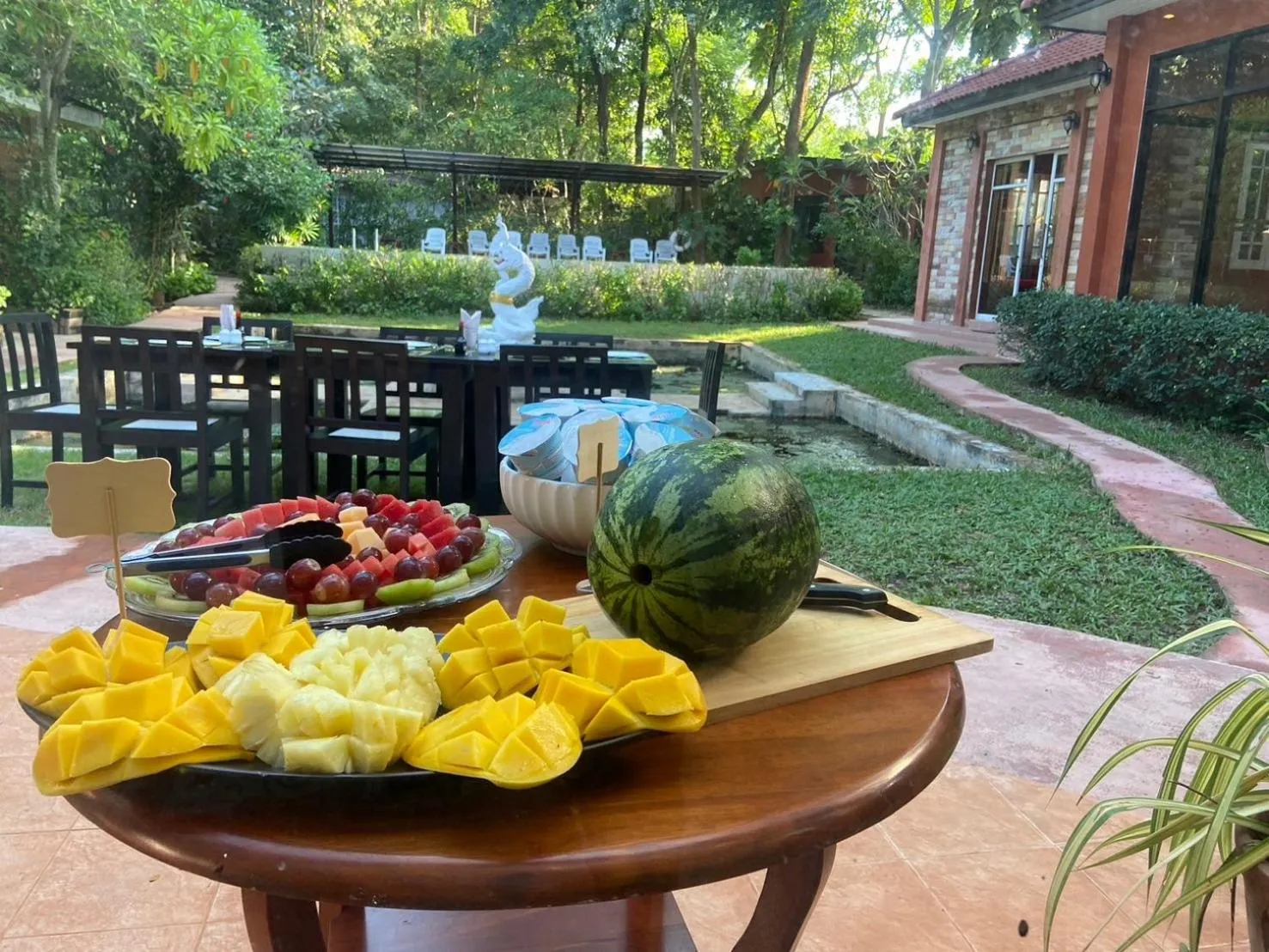 Garden in The Journey House Lifestyle Boutique Hotel