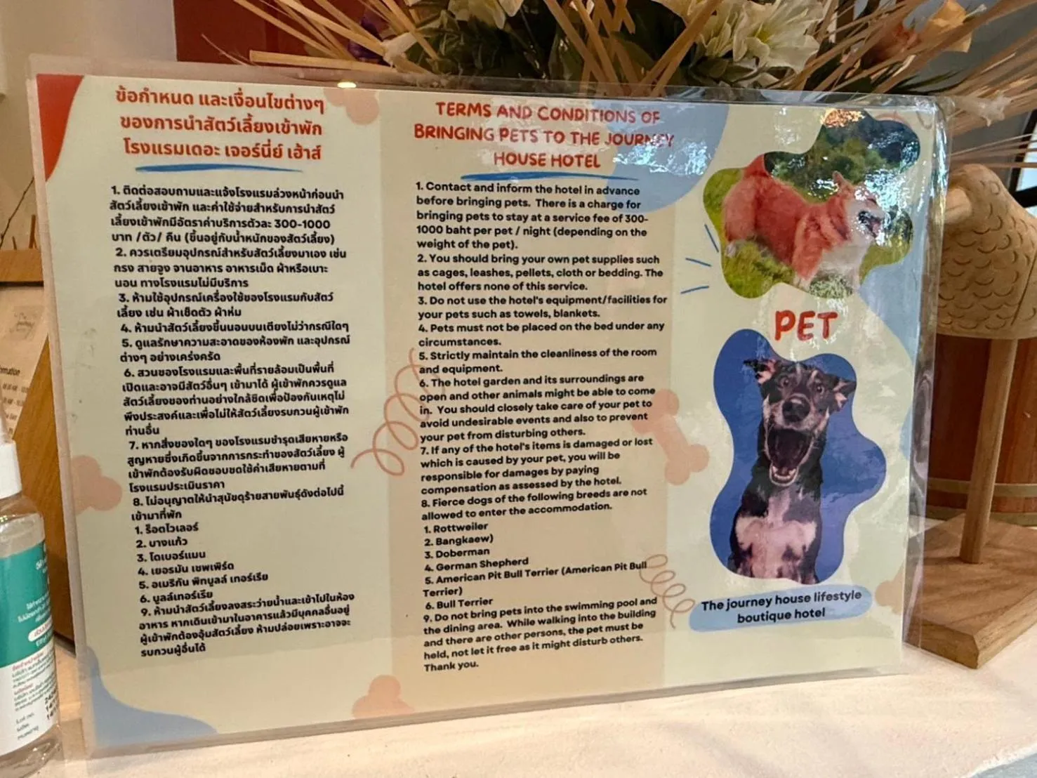 pet friendly in The Journey House Lifestyle Boutique Hotel