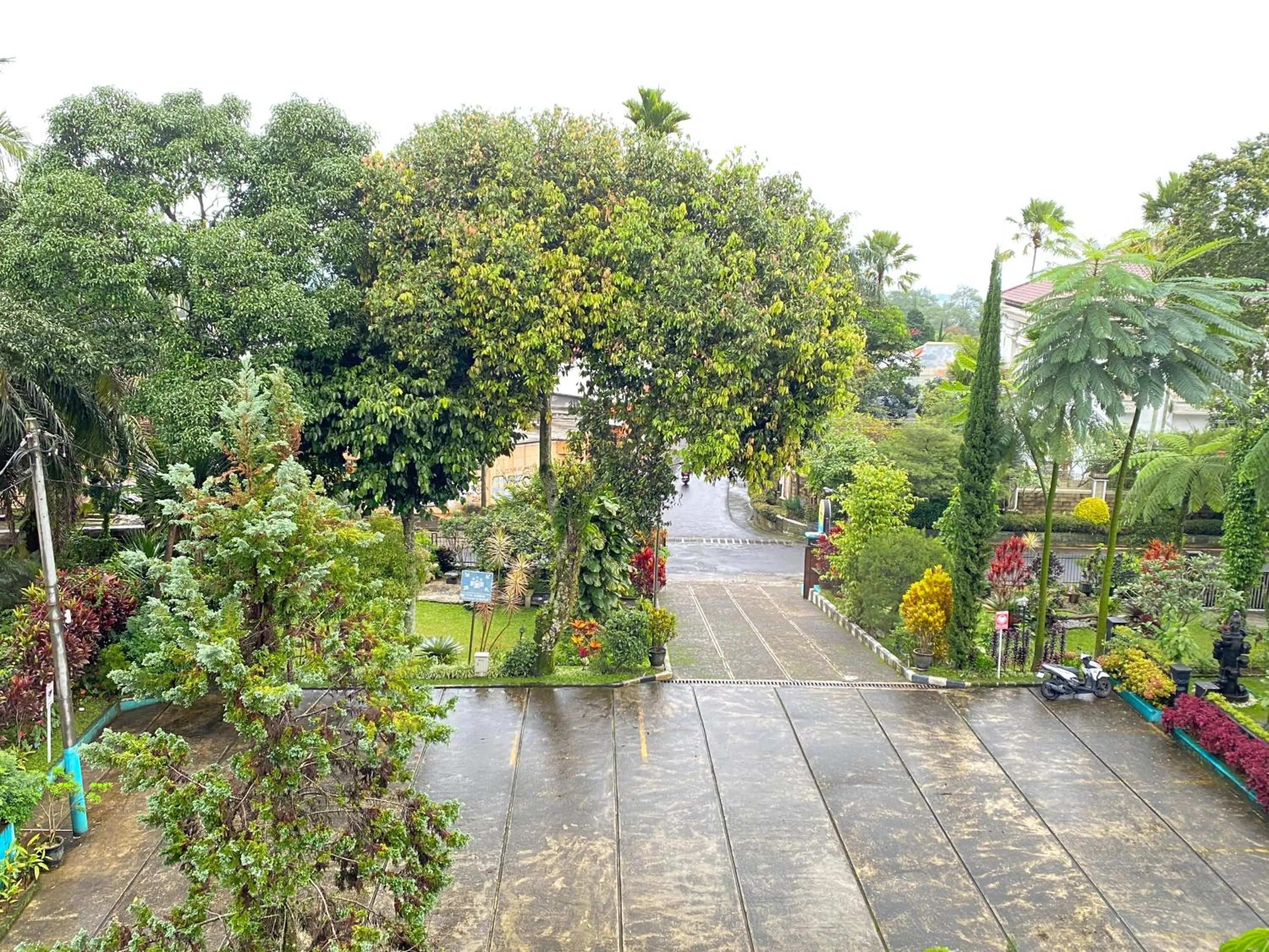 Garden view in Hortus Inn