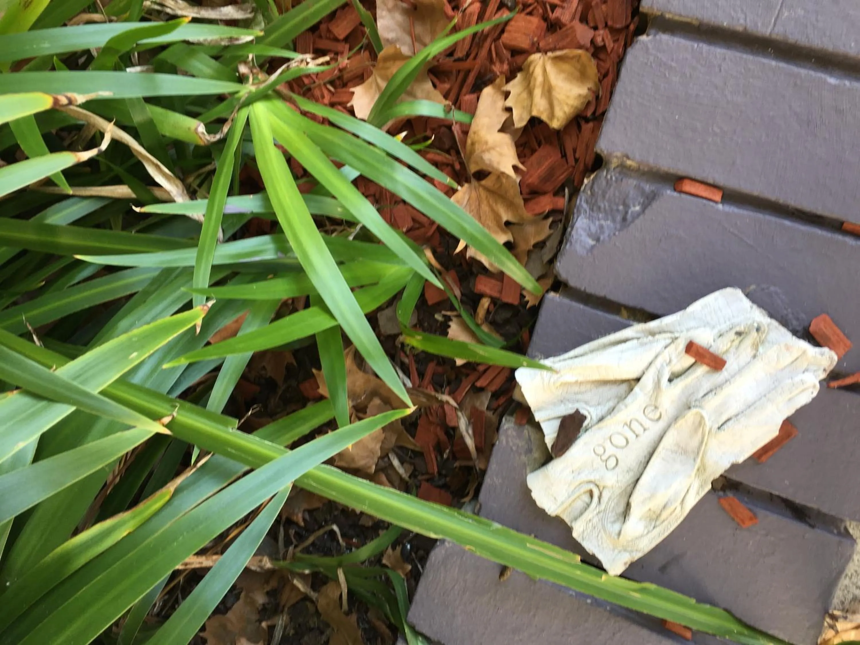 Location in Quest St Leonards