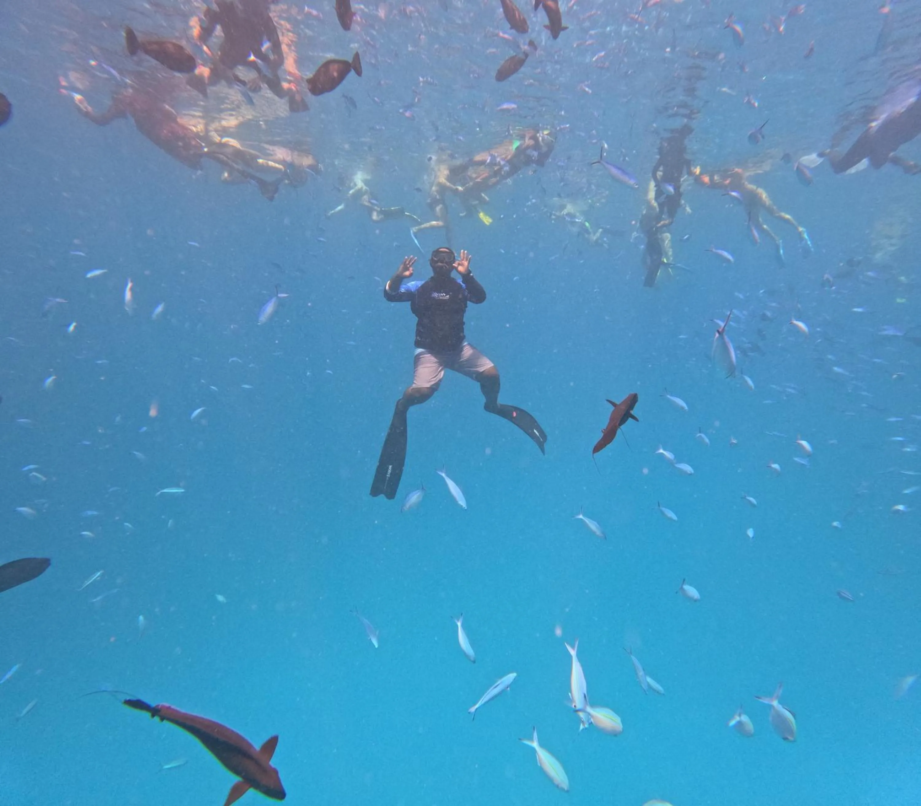 Activities in Biosphere Inn