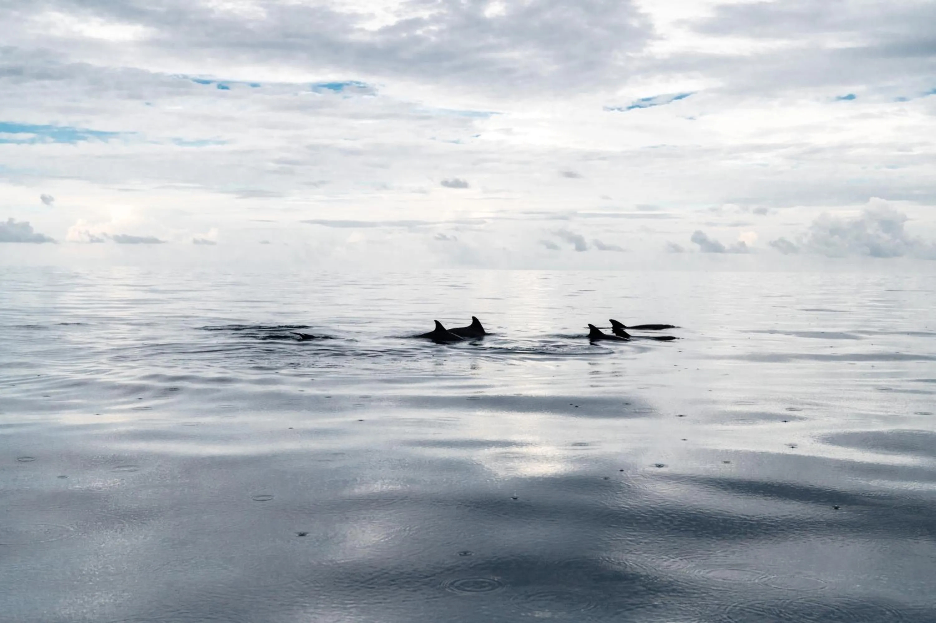 Day in Biosphere Inn